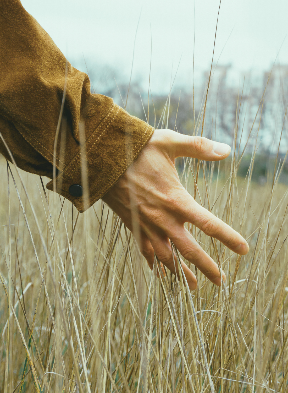 Hand moving through tall grass, symbolizing individual therapy and personal growth