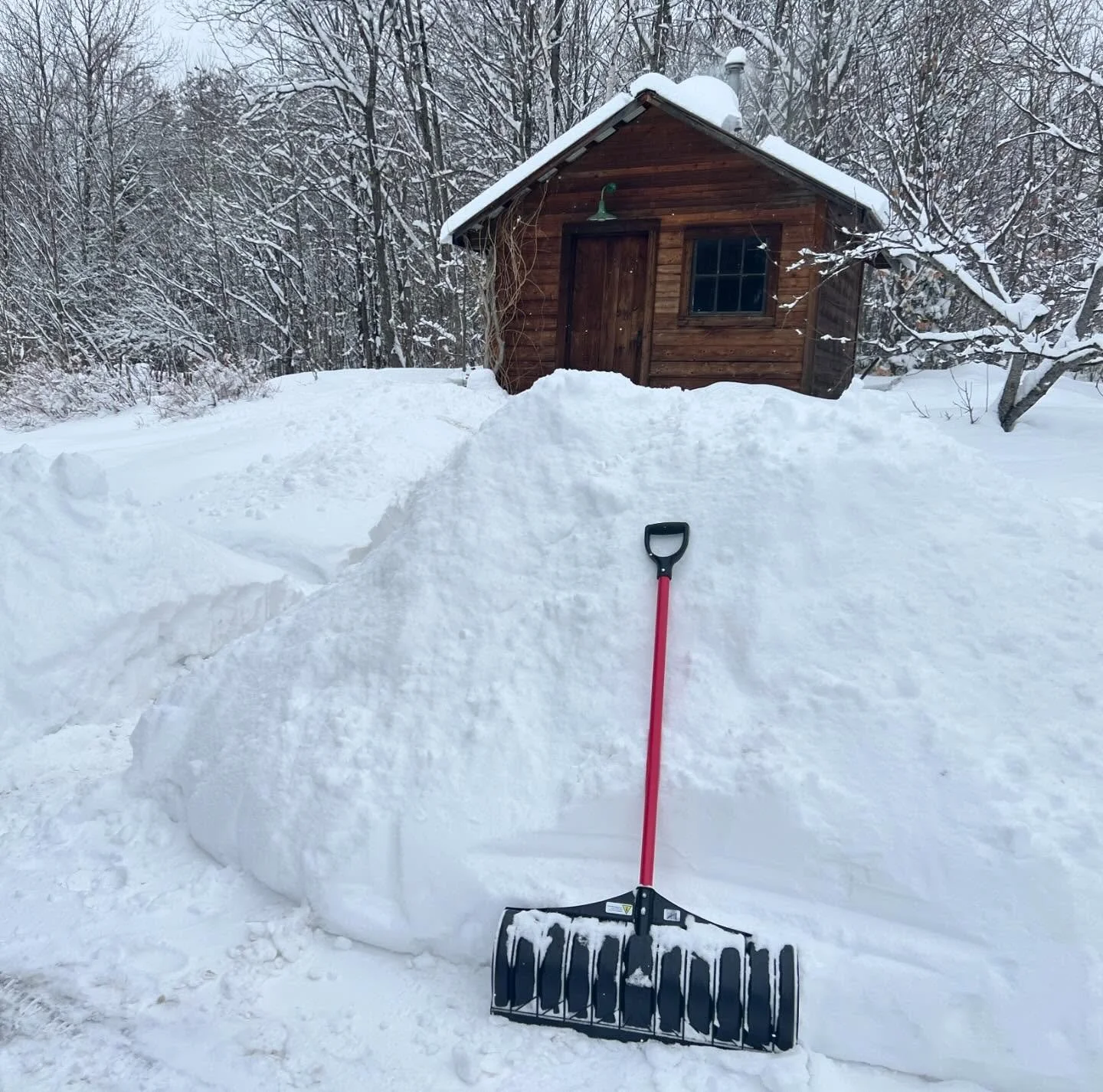 First step for todays batch: make it to the smokehouse.