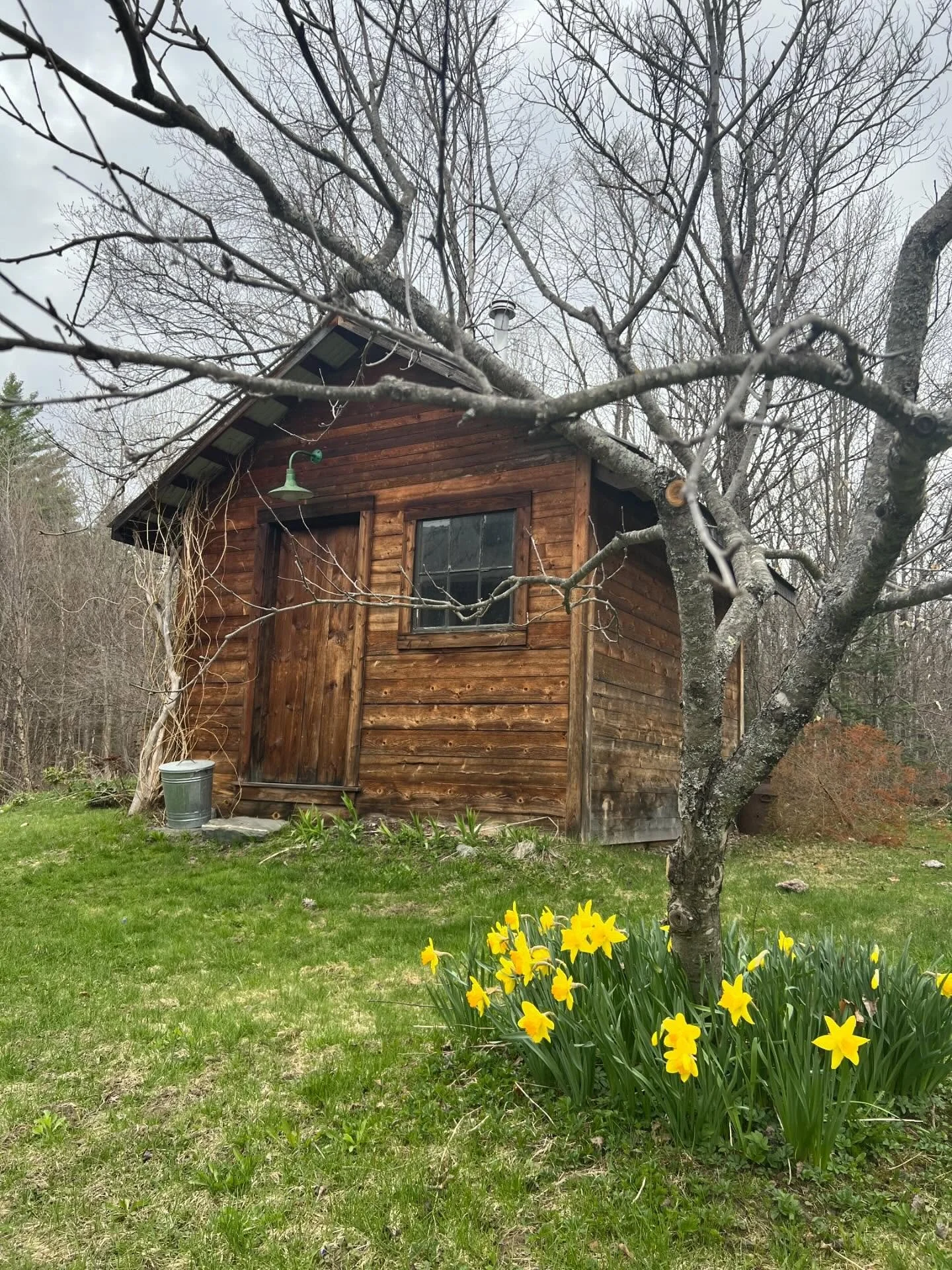 Spring has arrived at the smokehouse.