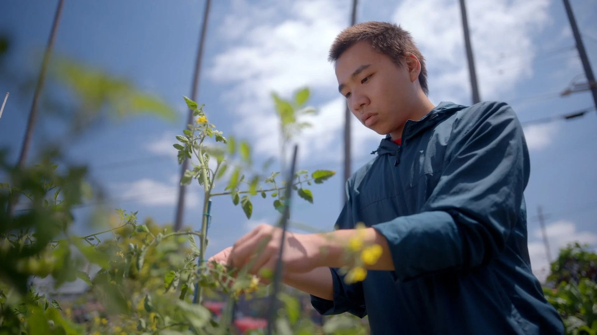 REI PetalsThroughPavement - EP1 City Slicker Farms.00_02_03_21.Still009.jpg