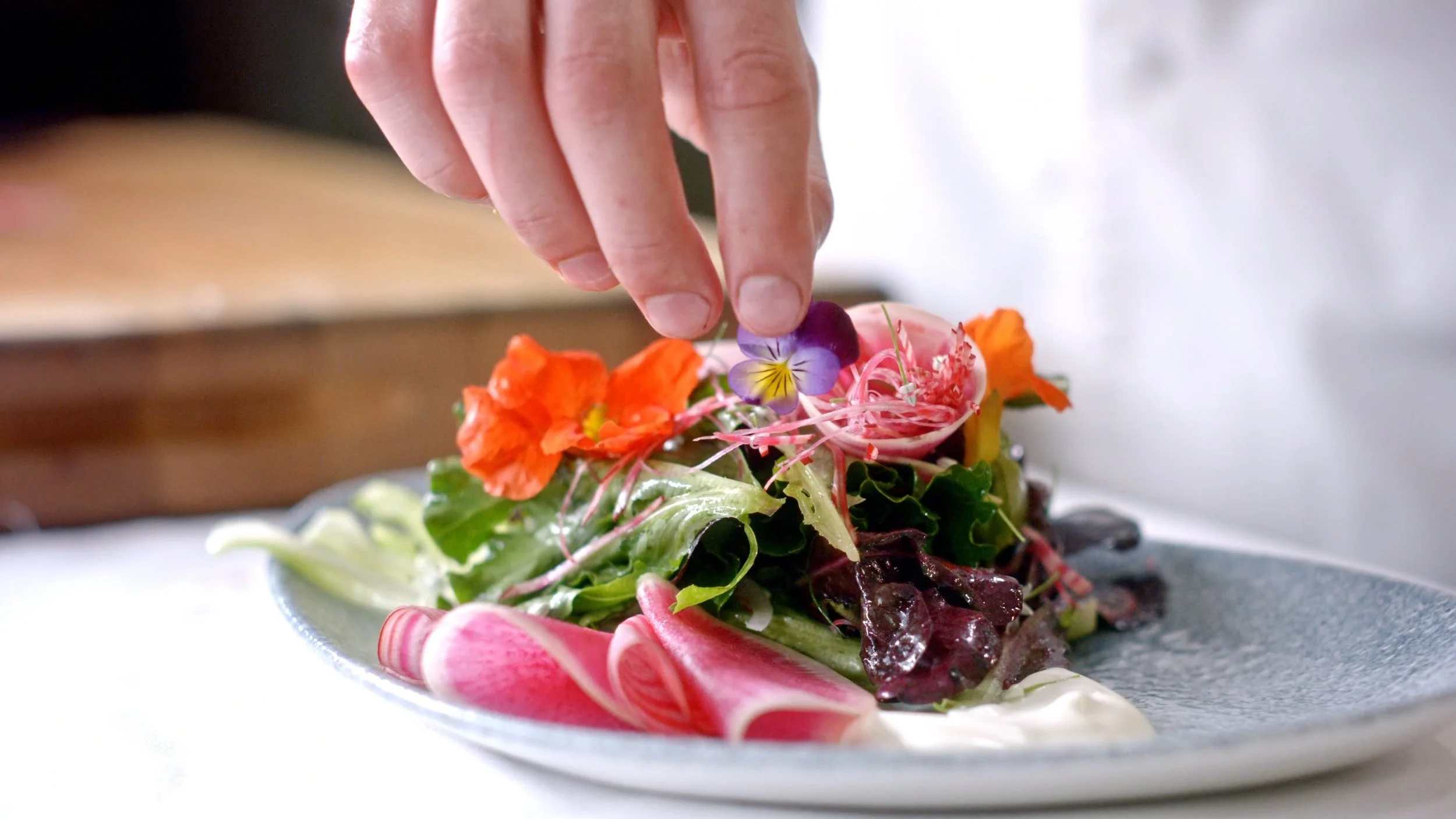 The Allison Hotel | Promo Documentary