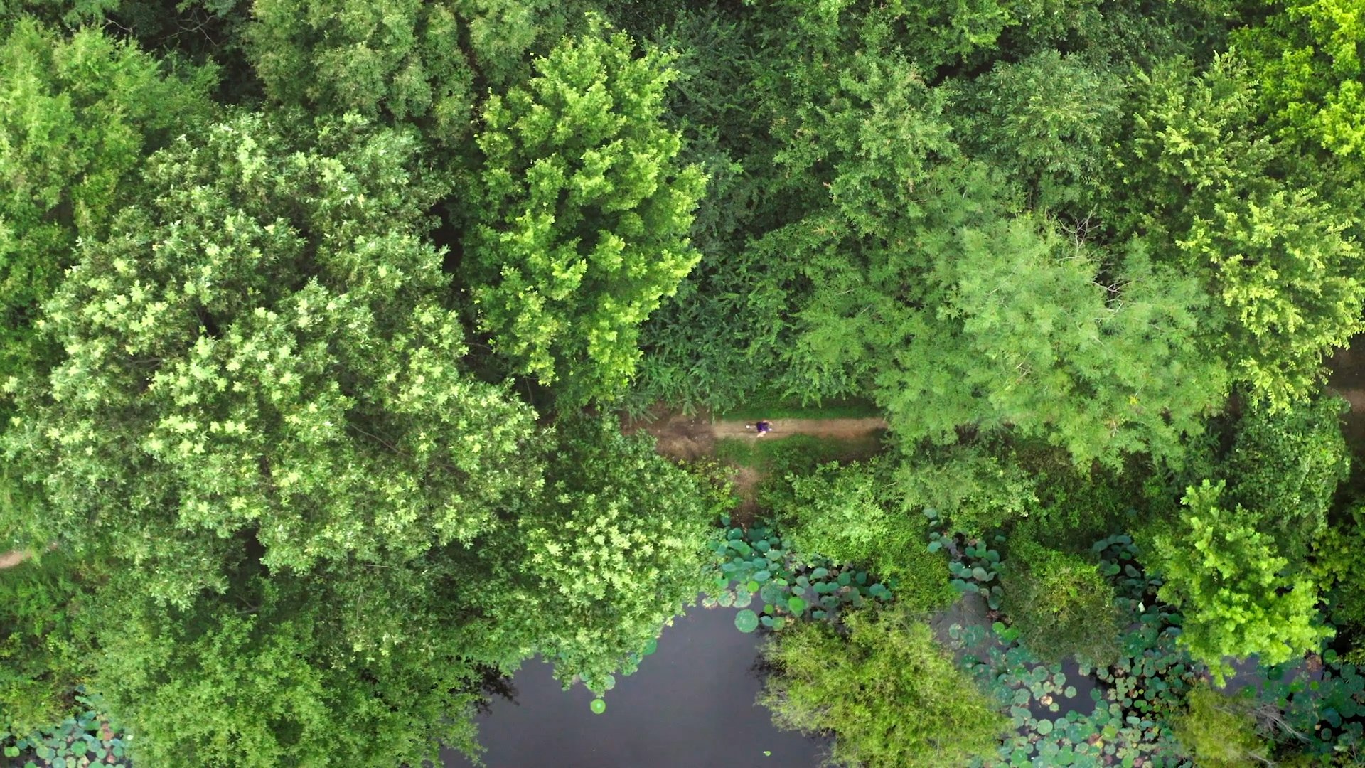 REI PetalsThroughPavement - EP1 City Slicker Farms.00_12_57_08.Still041.jpg