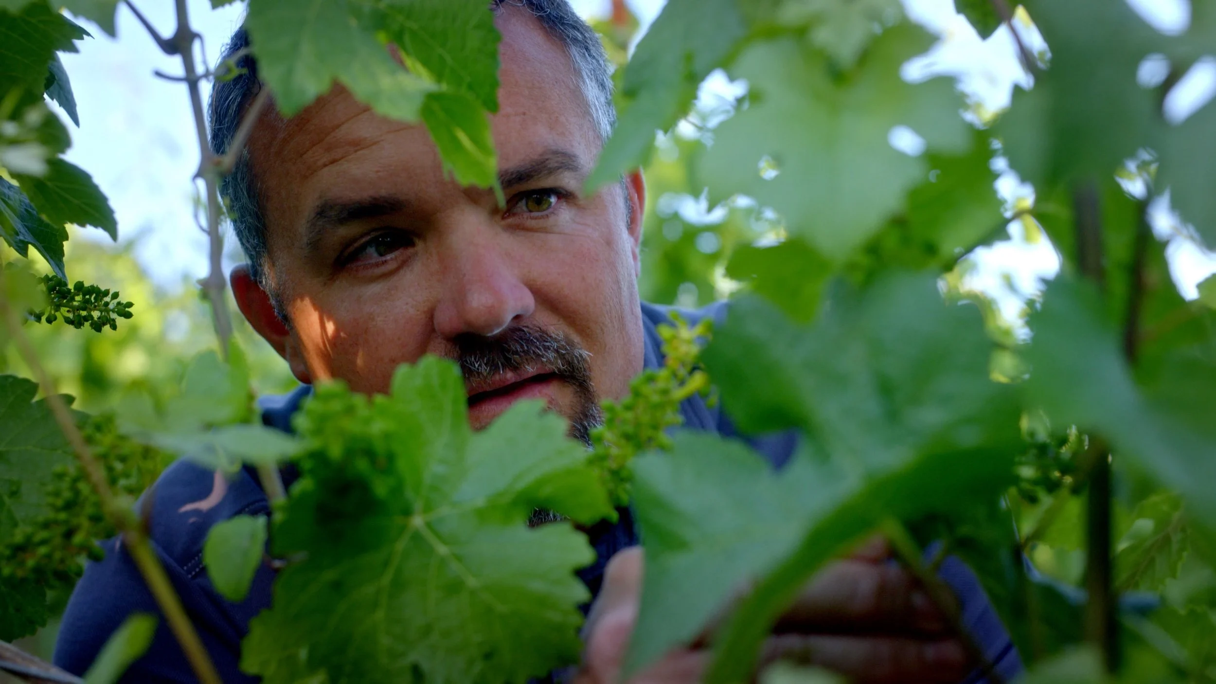 The Allison - Welcome (Long) - Revised Title - Web Master.00_01_08_07.Still005 (1).jpg