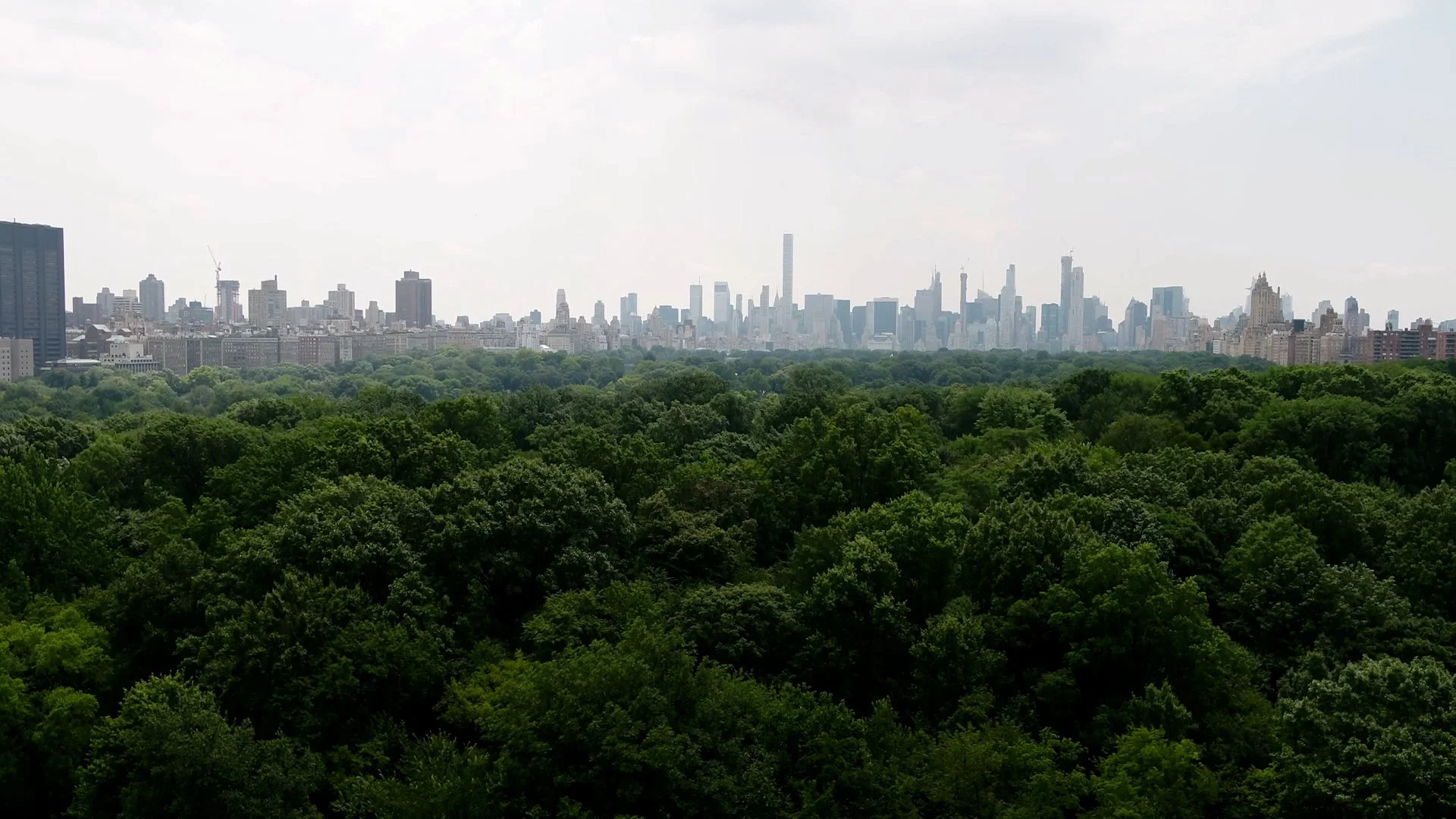 REI PetalsThroughPavement - EP1 City Slicker Farms.00_21_37_13.Still069.jpg