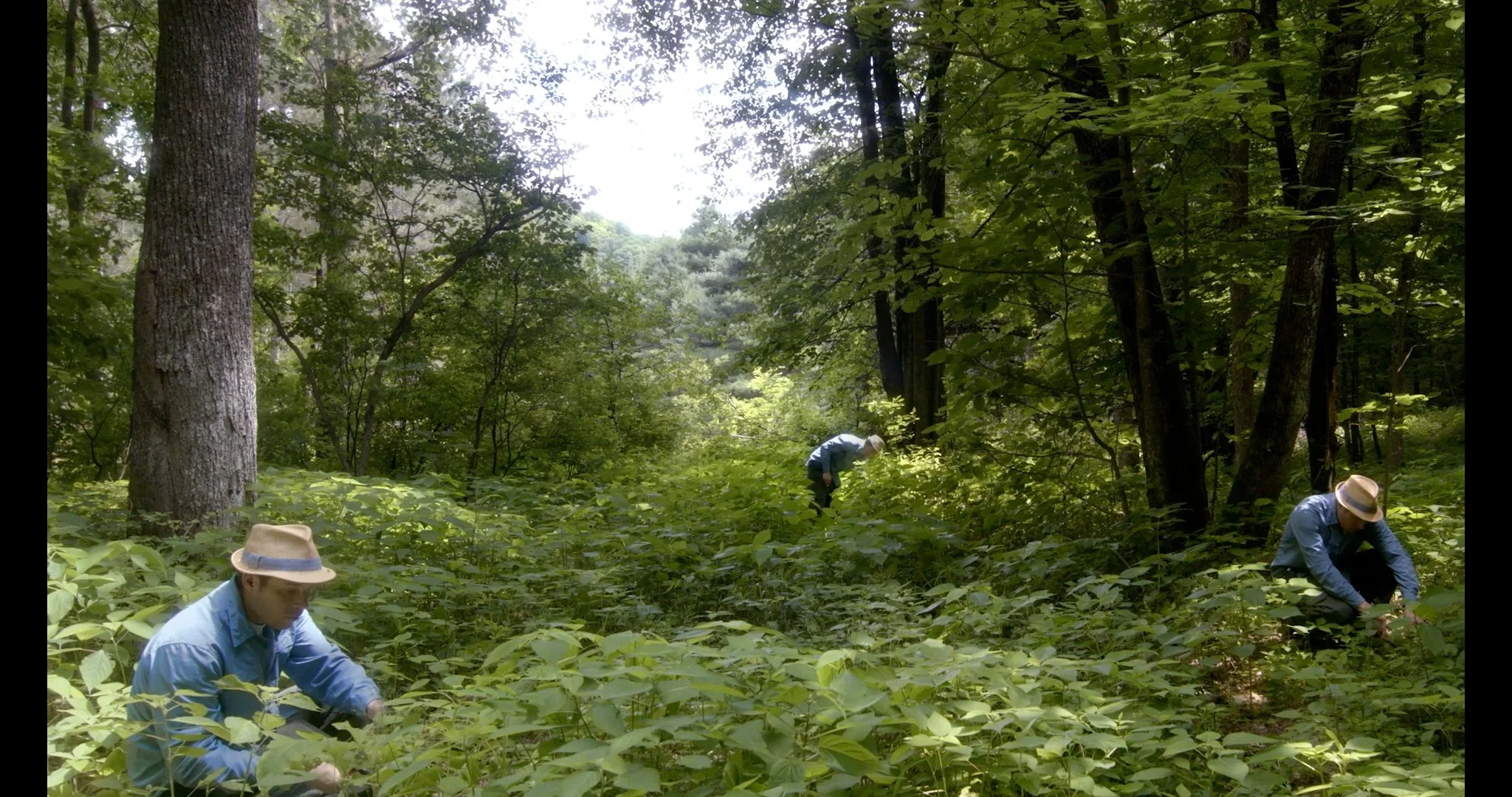 REI - Foraged and Found - Branded Content