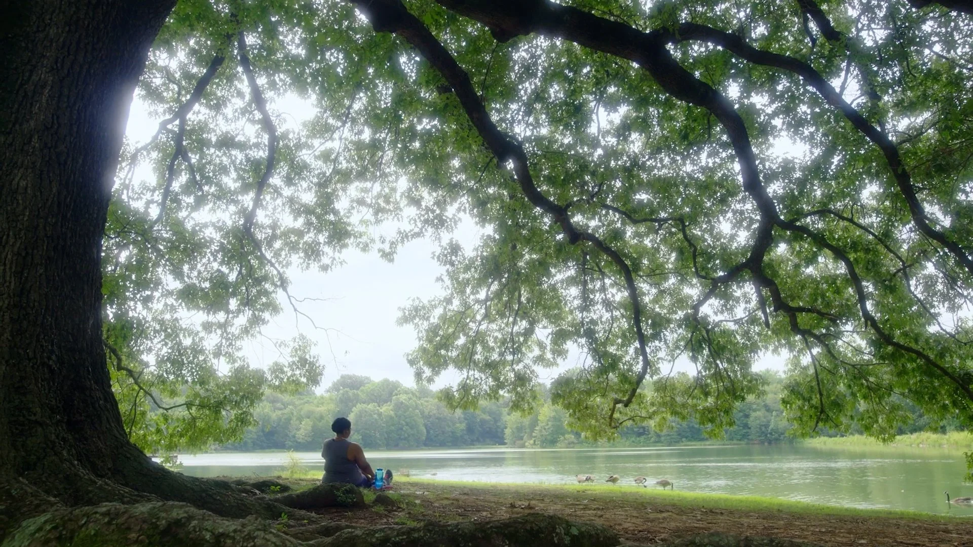 REI PetalsThroughPavement - EP1 City Slicker Farms.00_08_49_19.Still028.jpg