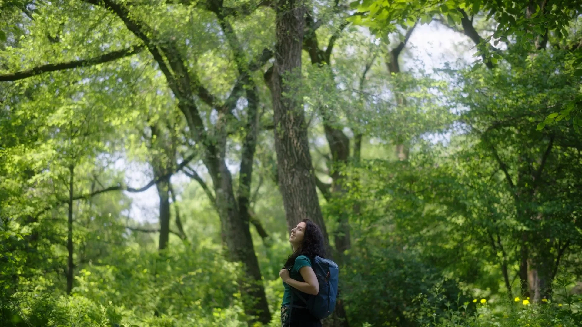 REI PetalsThroughPavement - EP1 City Slicker Farms.00_19_01_15.Still054.jpg