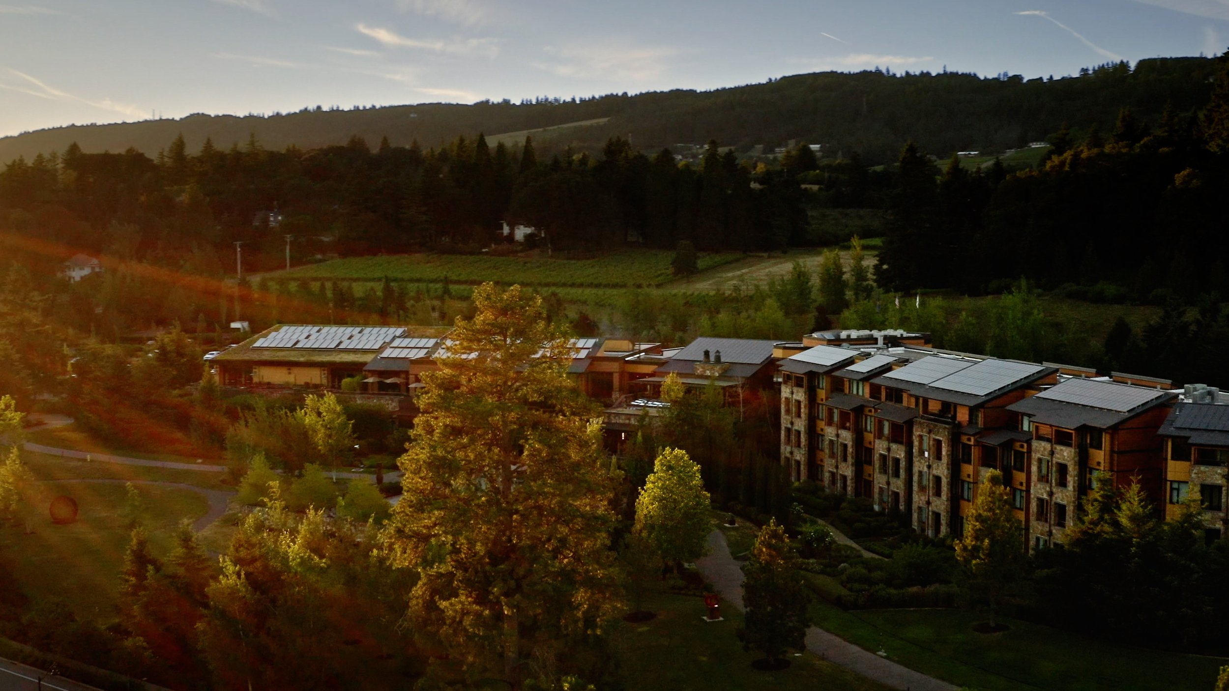 The Allison - Welcome (Long) - Revised Title - Web Master.00_00_07_13.Still003.jpg