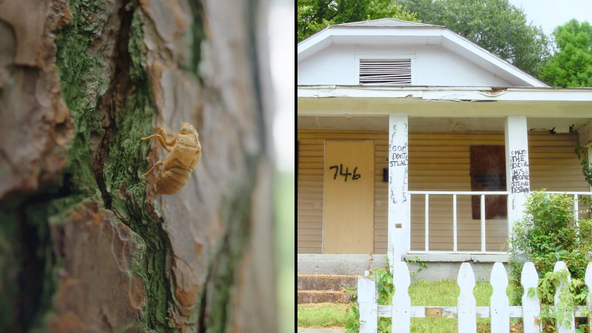 REI PetalsThroughPavement - EP1 City Slicker Farms.00_09_21_06.Still032.jpg