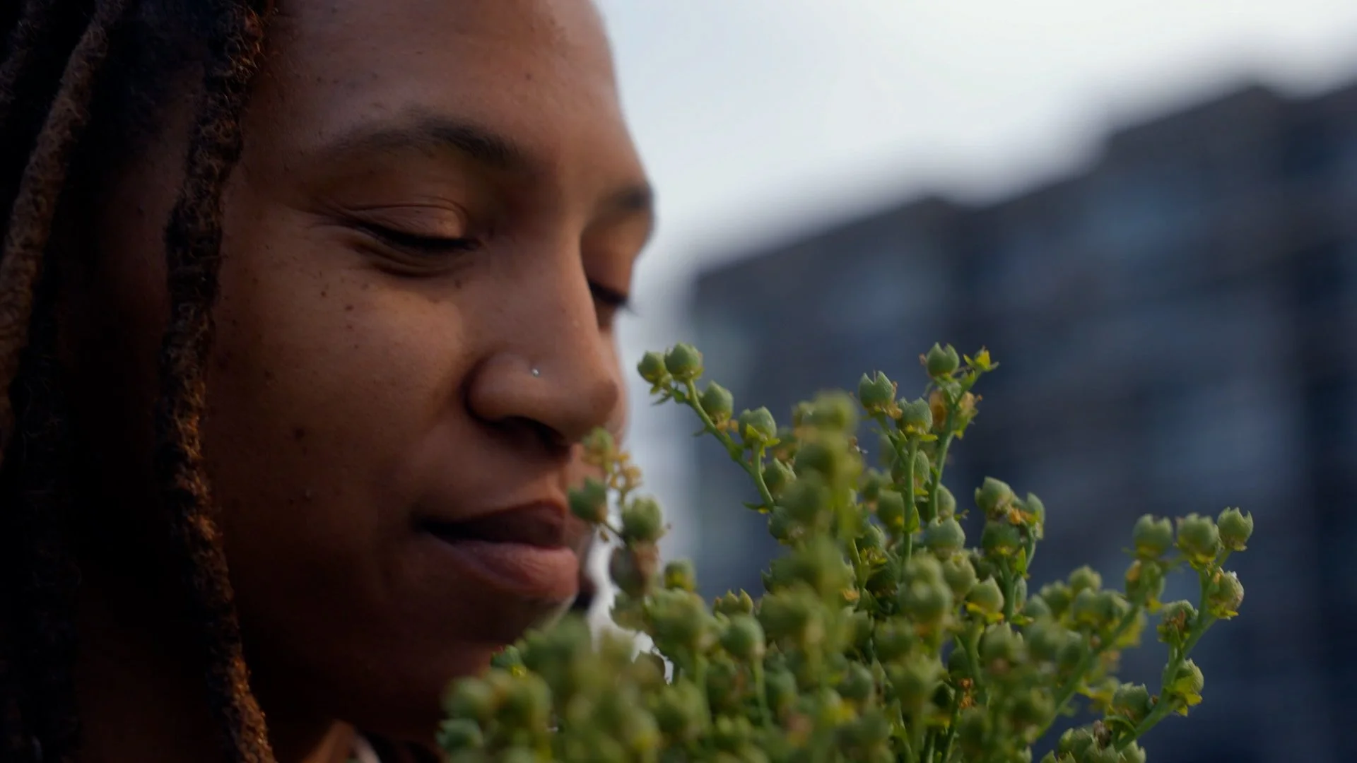 REI PetalsThroughPavement - EP1 City Slicker Farms.00_05_24_10.Still021.jpg