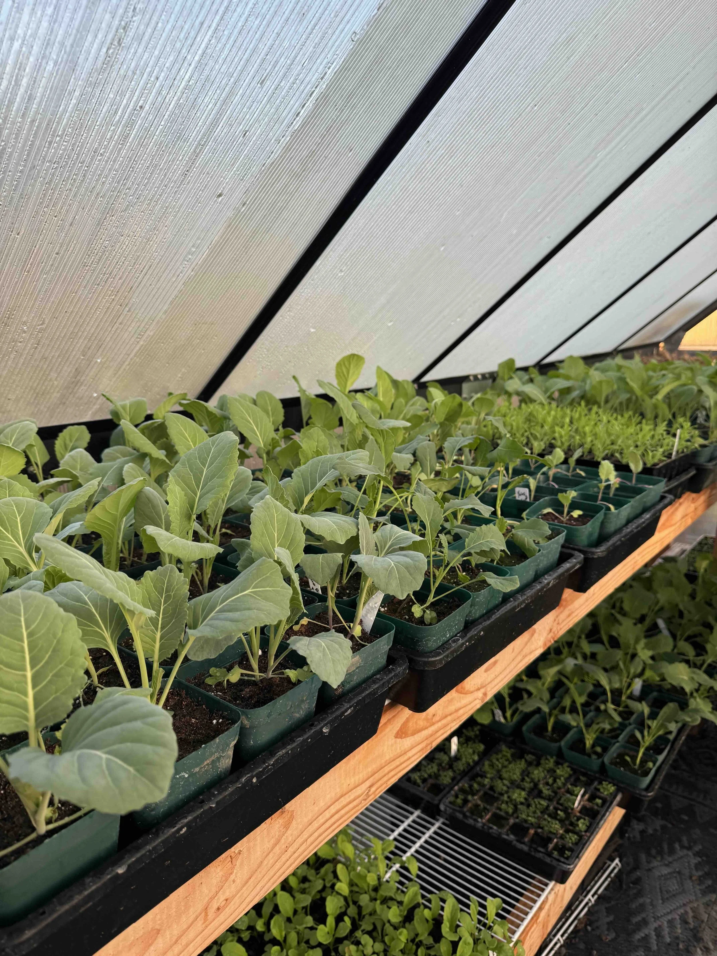 Friendly Spring Tip: Nights Still Bite