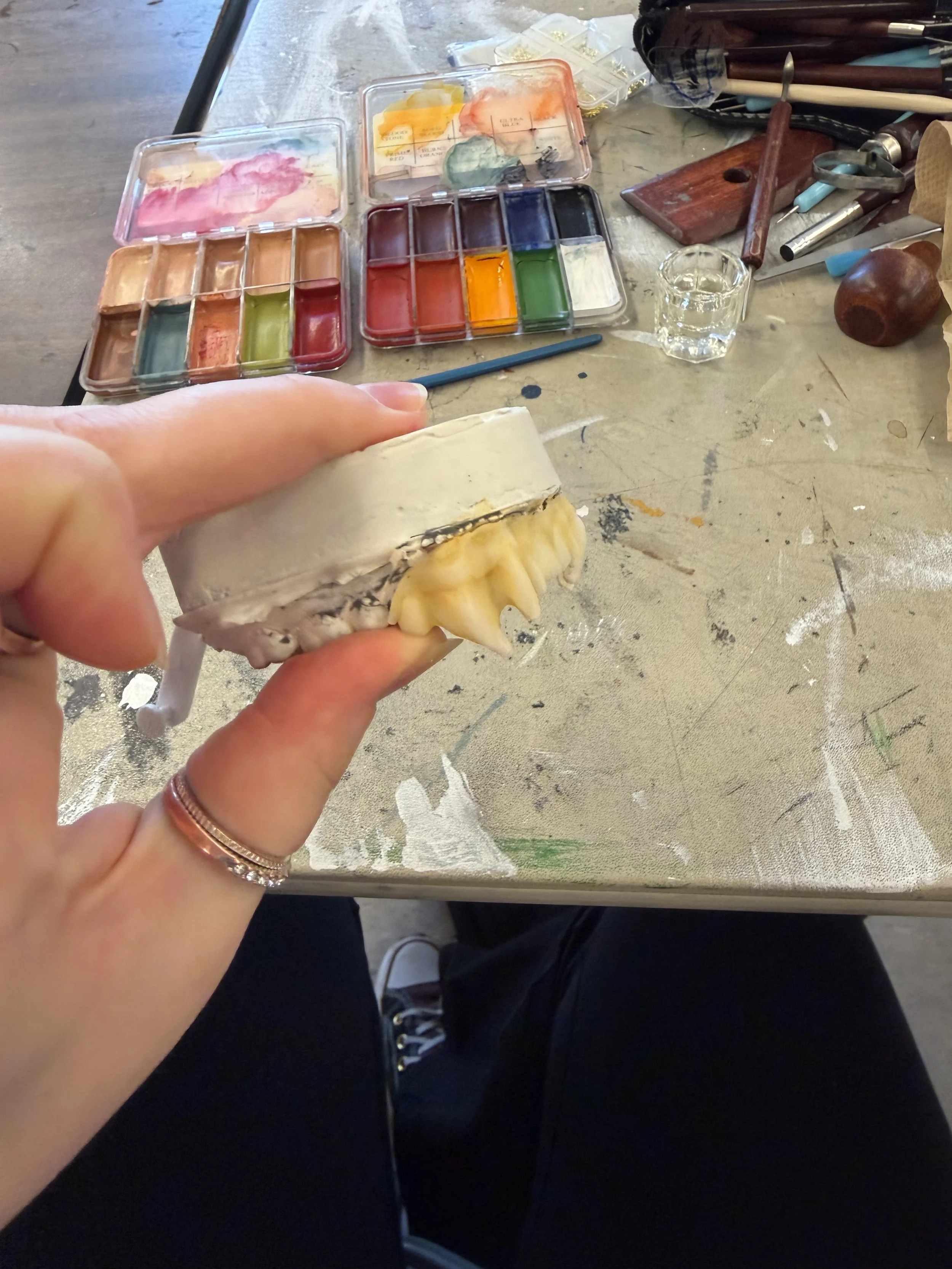 IMG_1534.jpeg