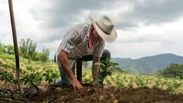 Beyond Agriculture; The Strategic Evolution of South American Fresh Exports