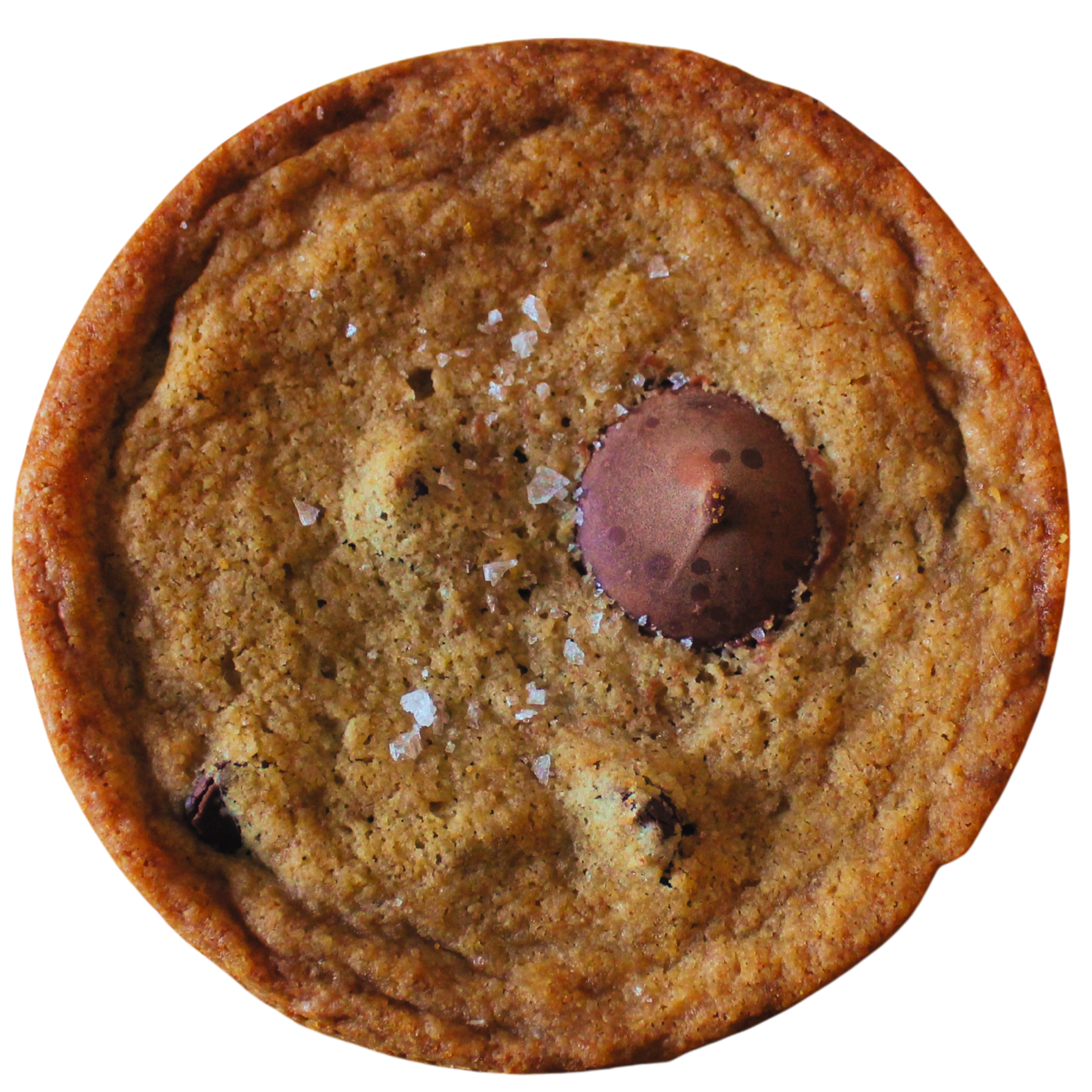 Just a Really Good Chocolate Chip Cookie