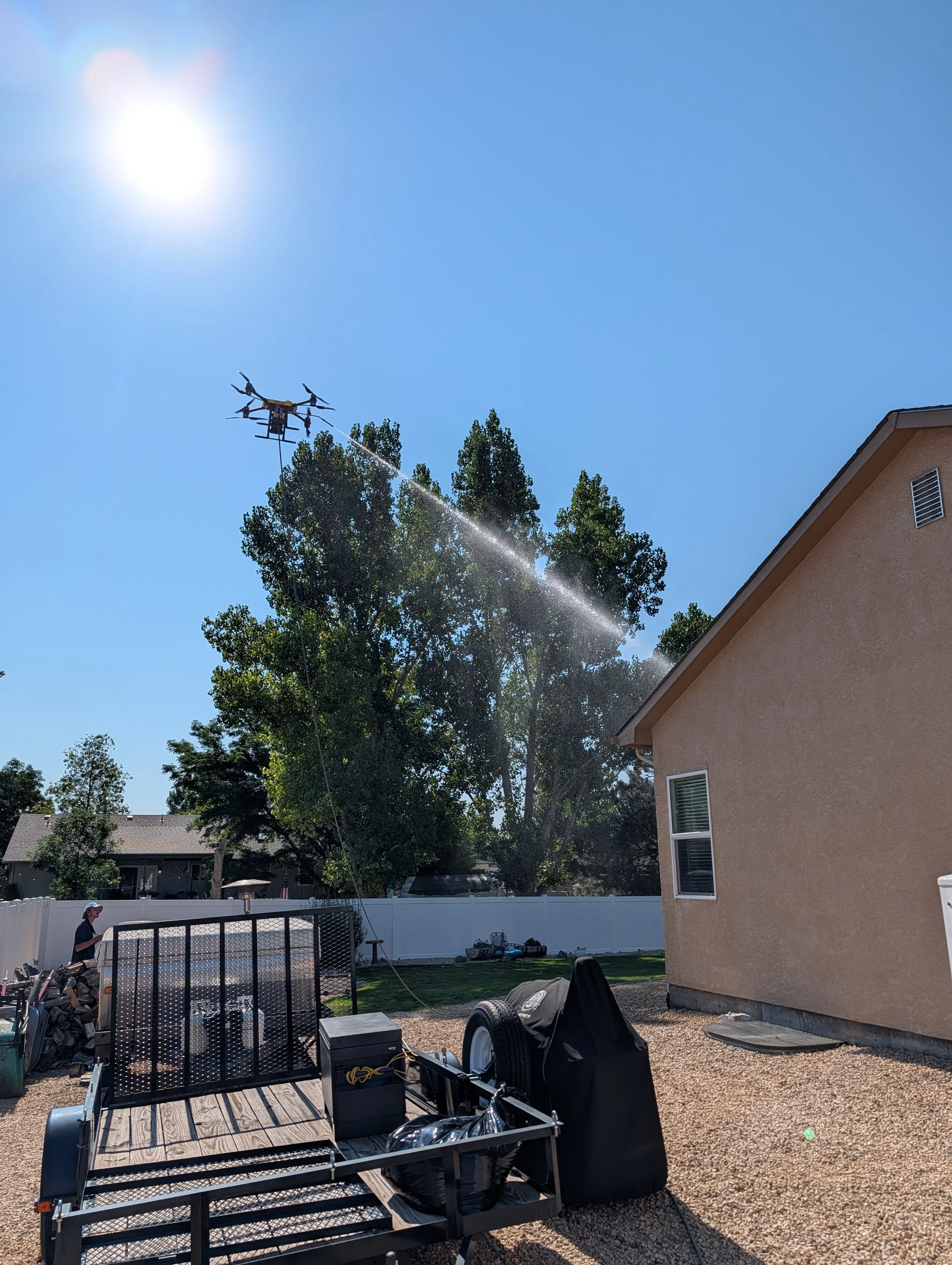 Roof cleaning.jpg