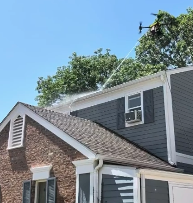 Professional Gutter Cleaning