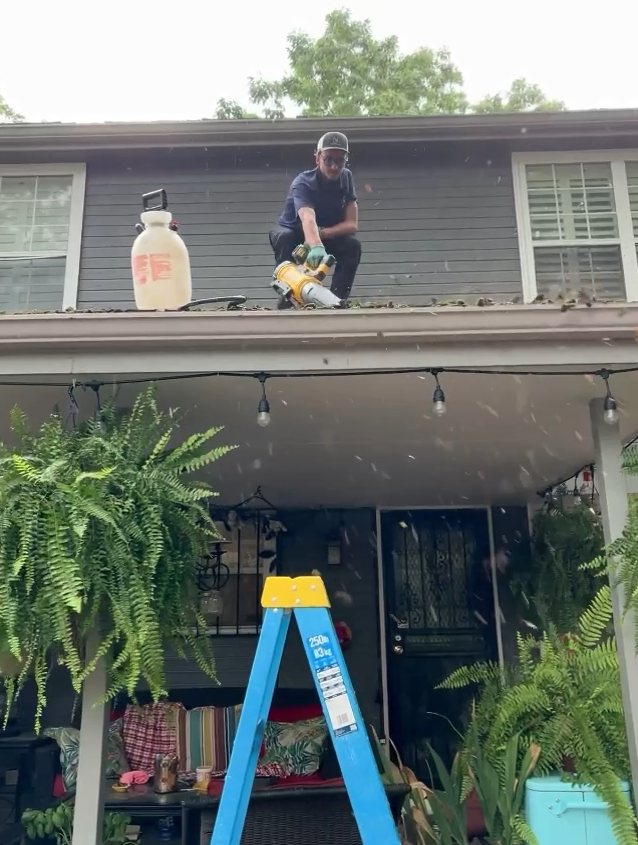 Roof Cleaning and Moss Treatment