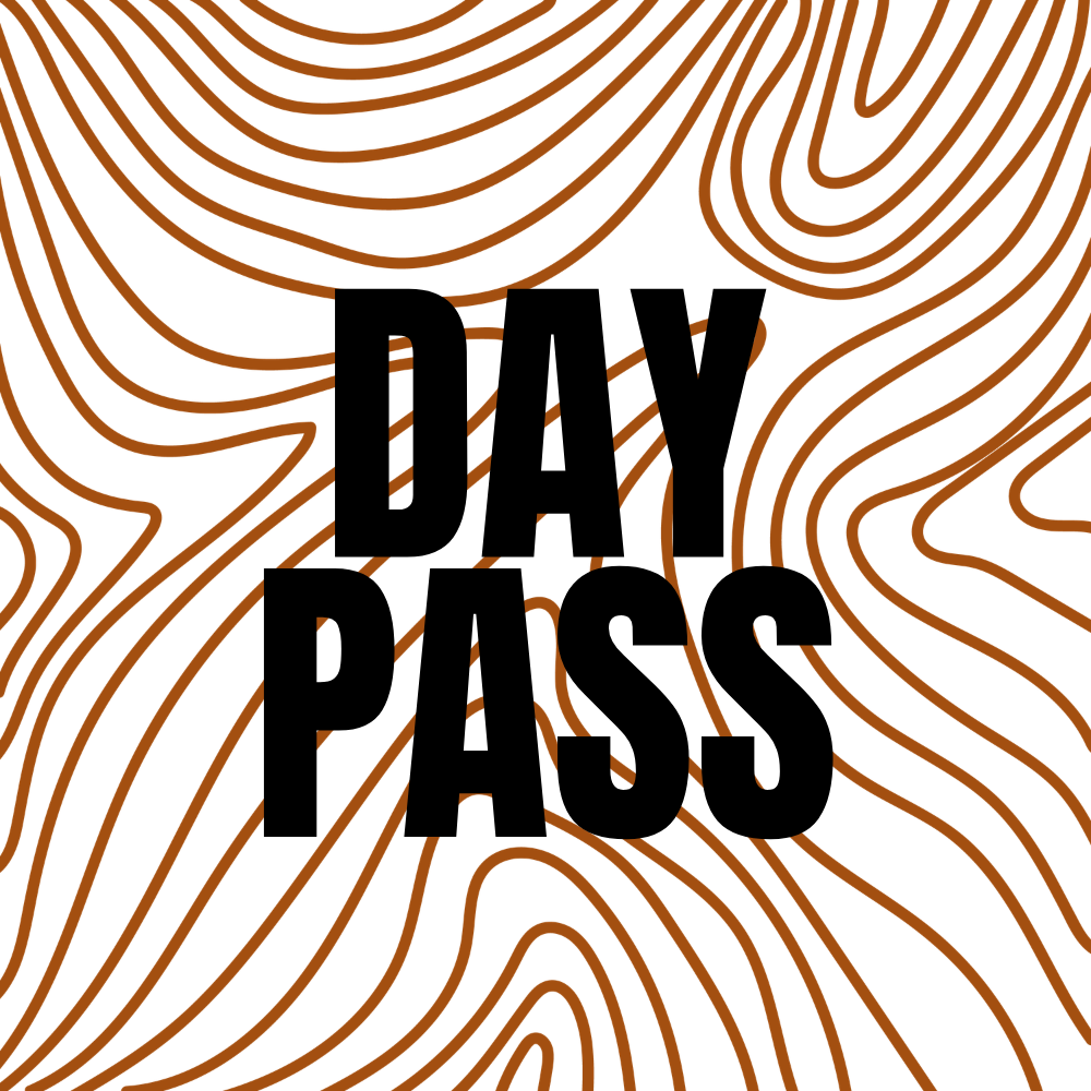 day pass.png