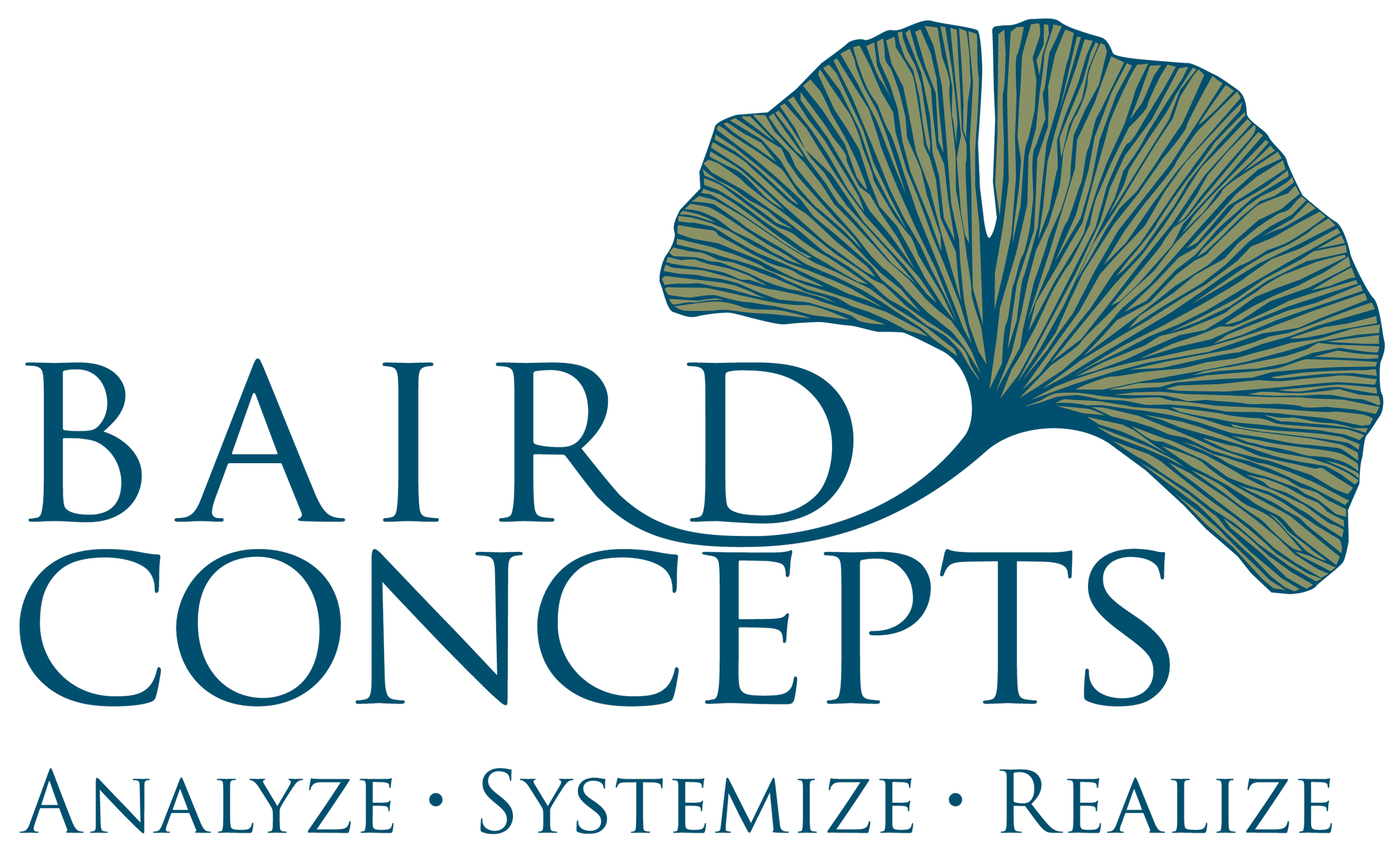 Logo Baird Dental Business Concepts