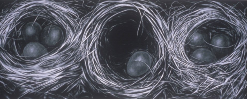 Nests ~ 42" x 90" ~ Charcoal on cotton rag paper