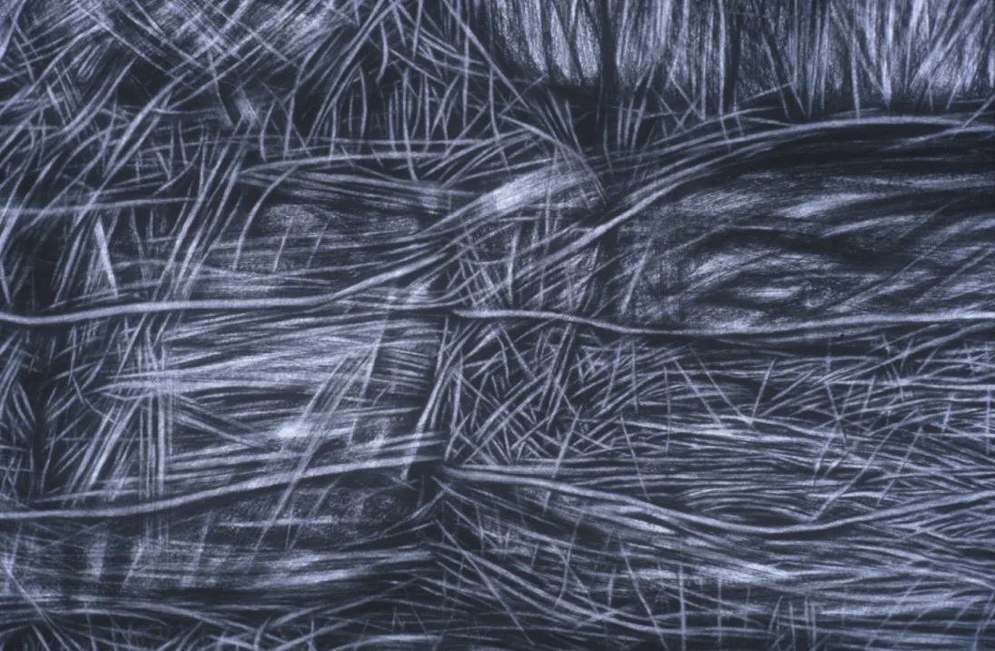 Hay Bales No. 1 - Detail ~ Charcoal on cotton rag paper