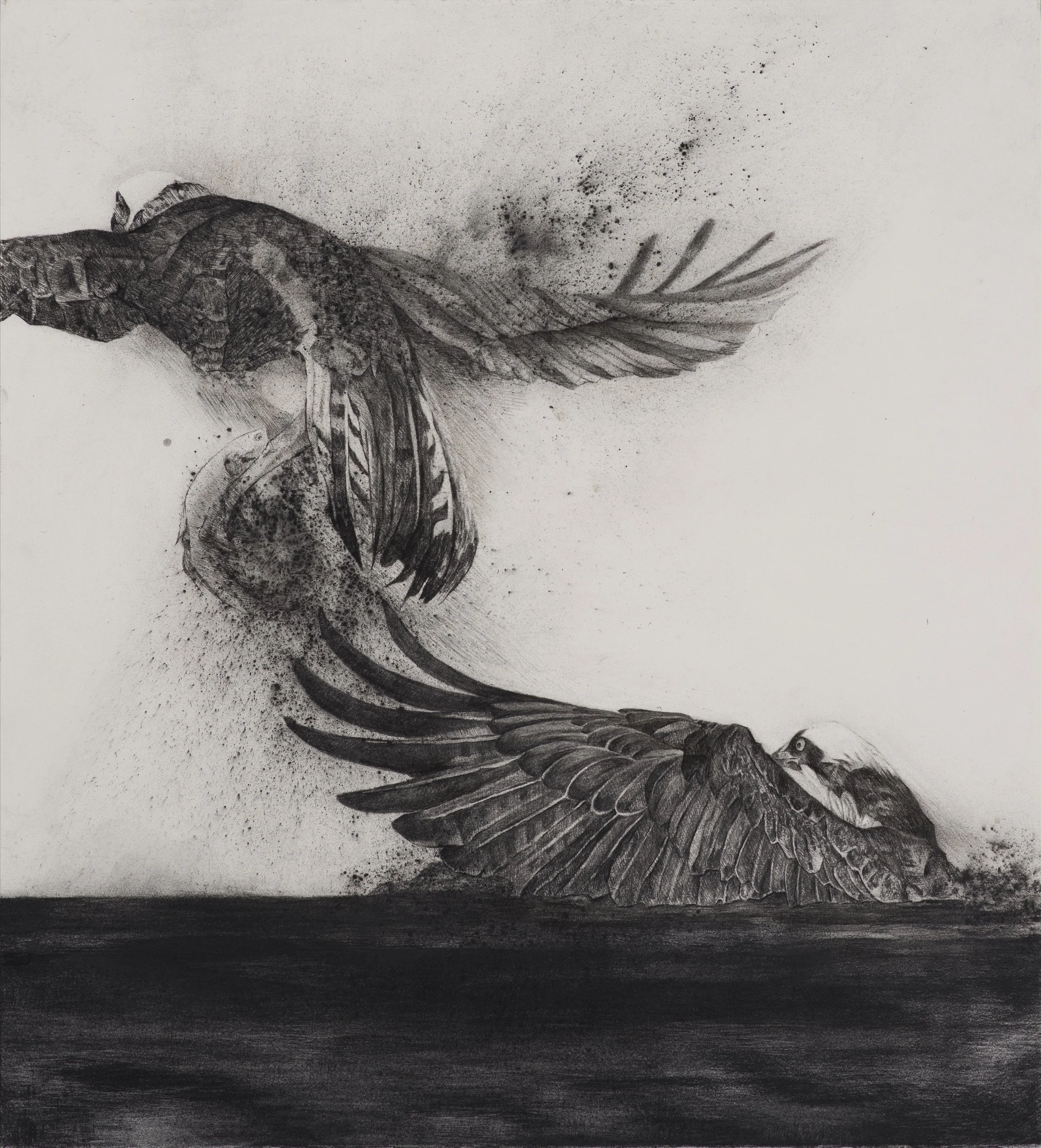 Maya’s Revenge ~ 30" x 30" ~ Charcoal on cotton rag paper