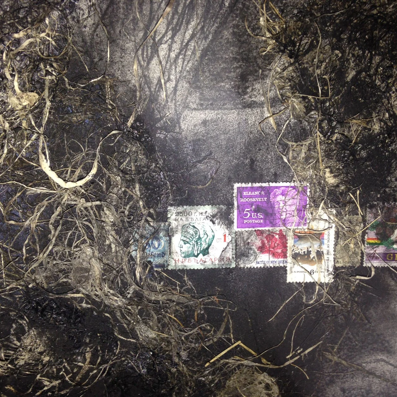 E Pluribus Unum - Detail 4 ~ Charcoal on cotton rag paper, vintage postage stamps, prairie grasses