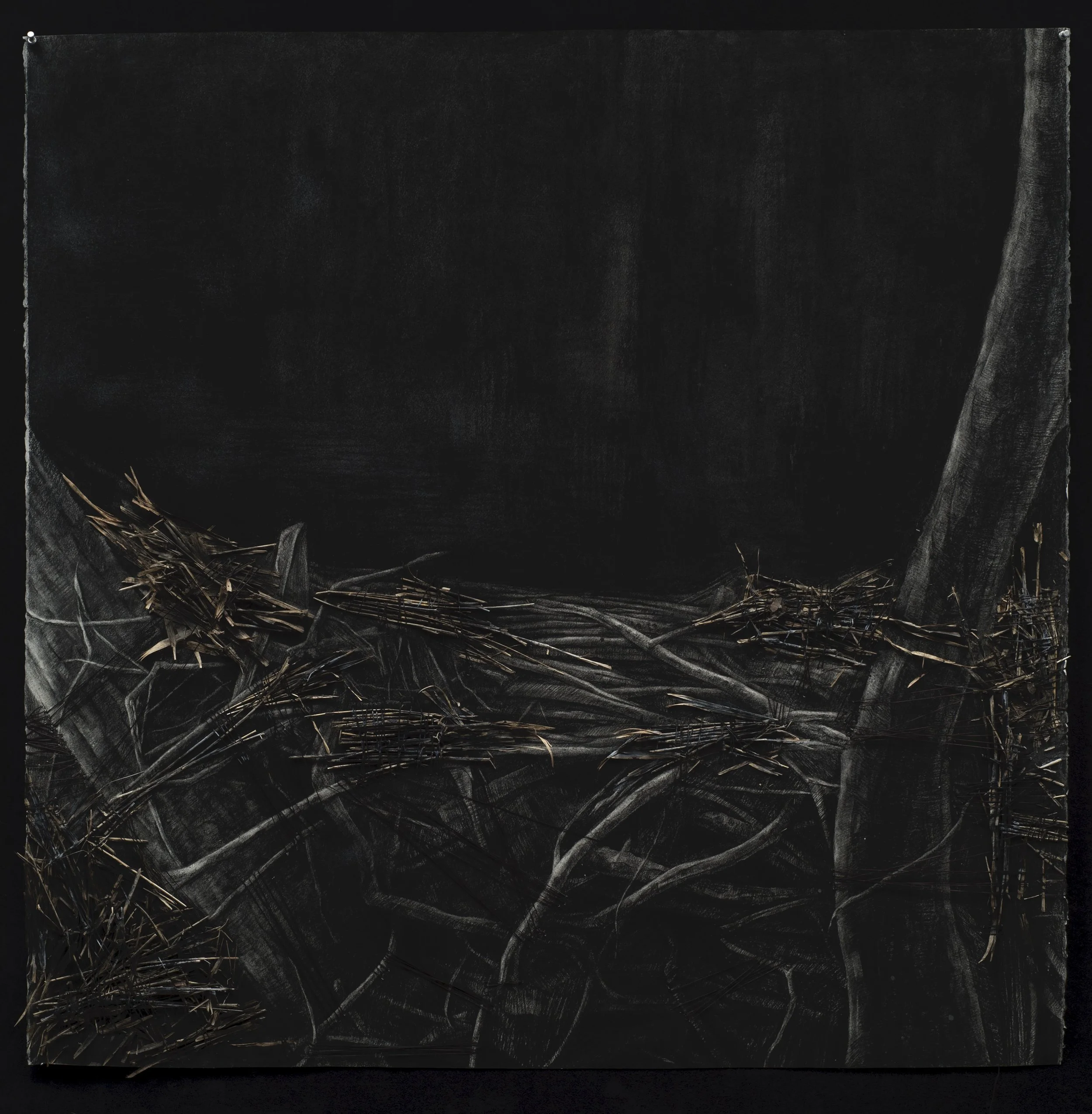 Nocturne In Black And Gold ~ 30" x 40" ~ Charcoal on cotton rag paper, prairie grasses