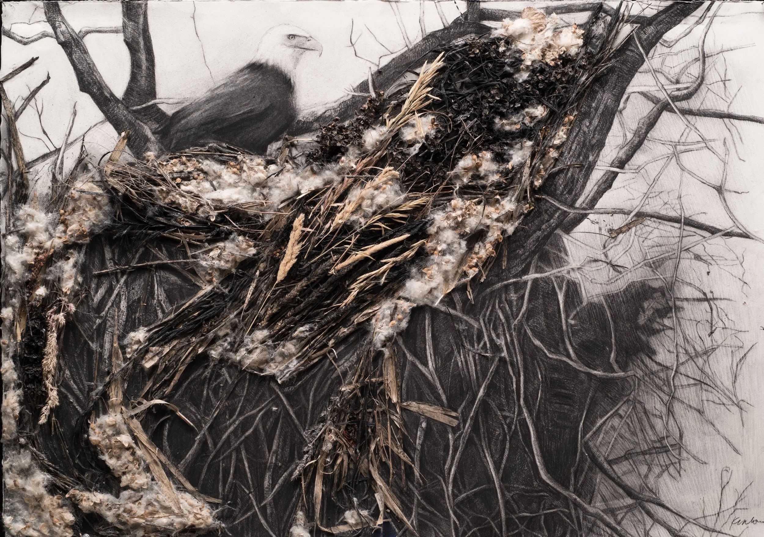 Aerie ~ 30" x 40" ~ Charcoal on cotton rag paper, vintage postage stamps, prairie grasses