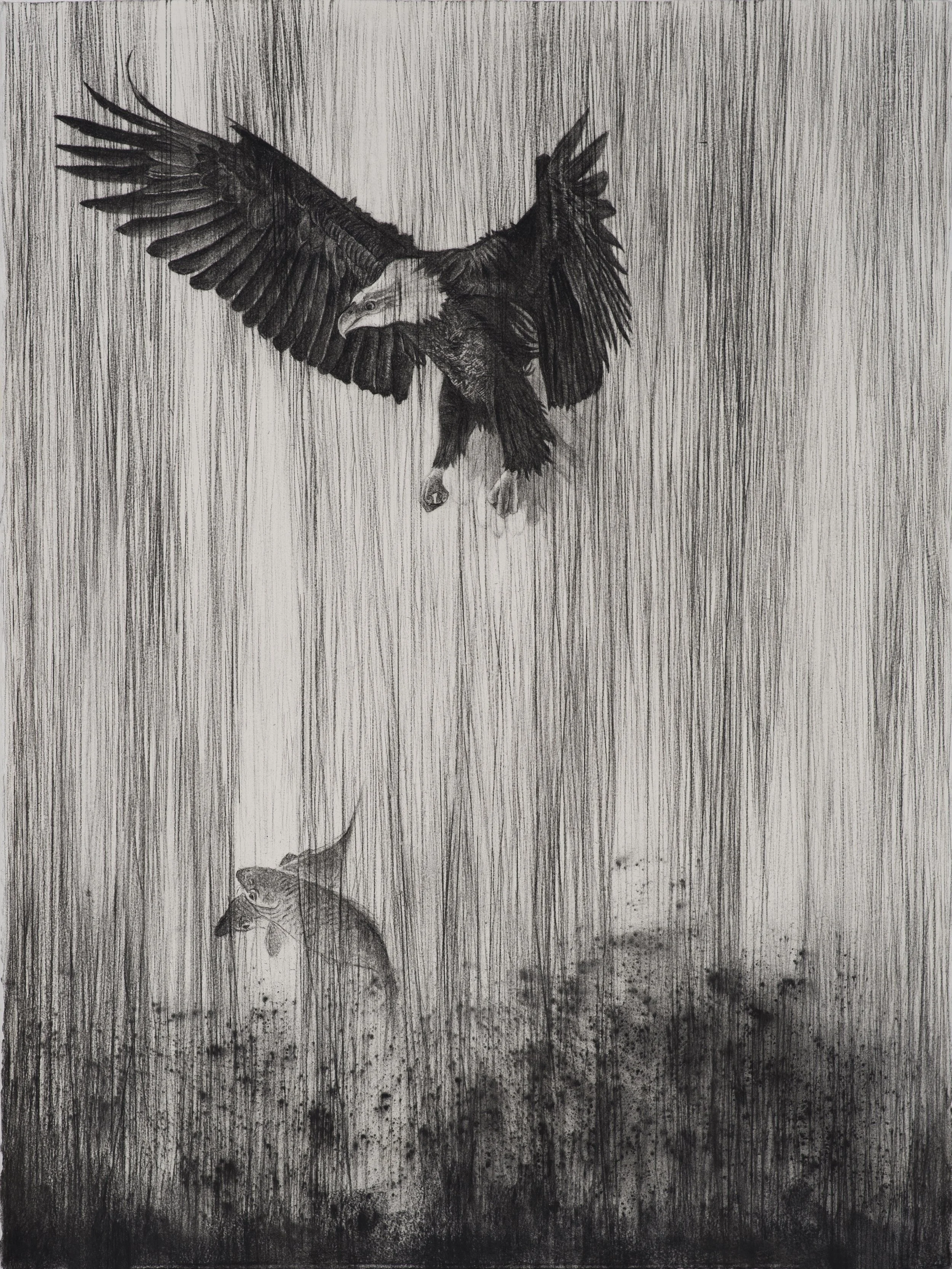 Aerial Serenade ~ 30" x 20" ~ Charcoal on cotton rag paper