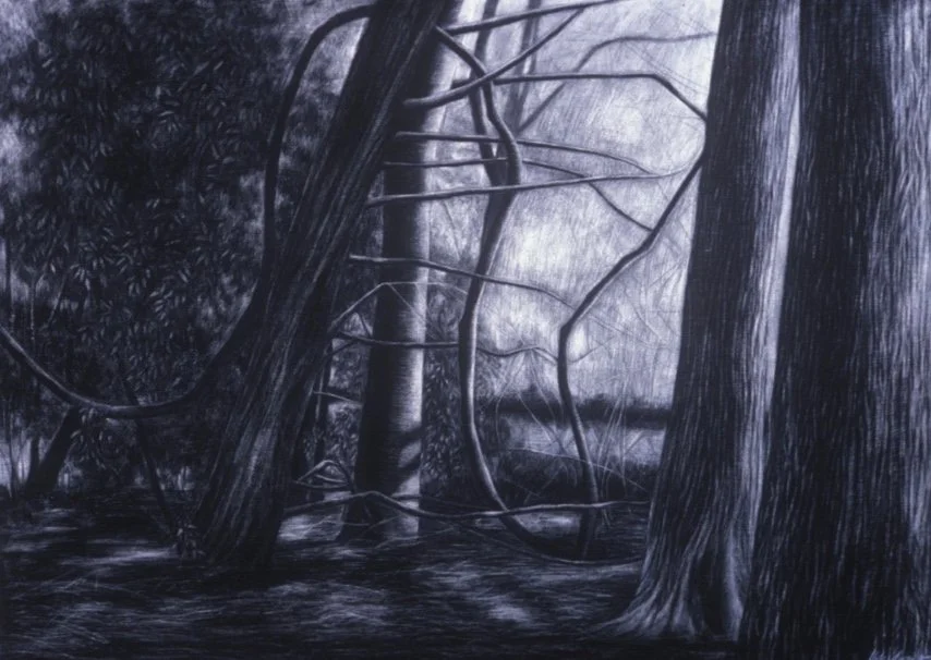 Potential Grace No. 1 ~ 42" x 65" ~ Charcoal on cotton rag paper