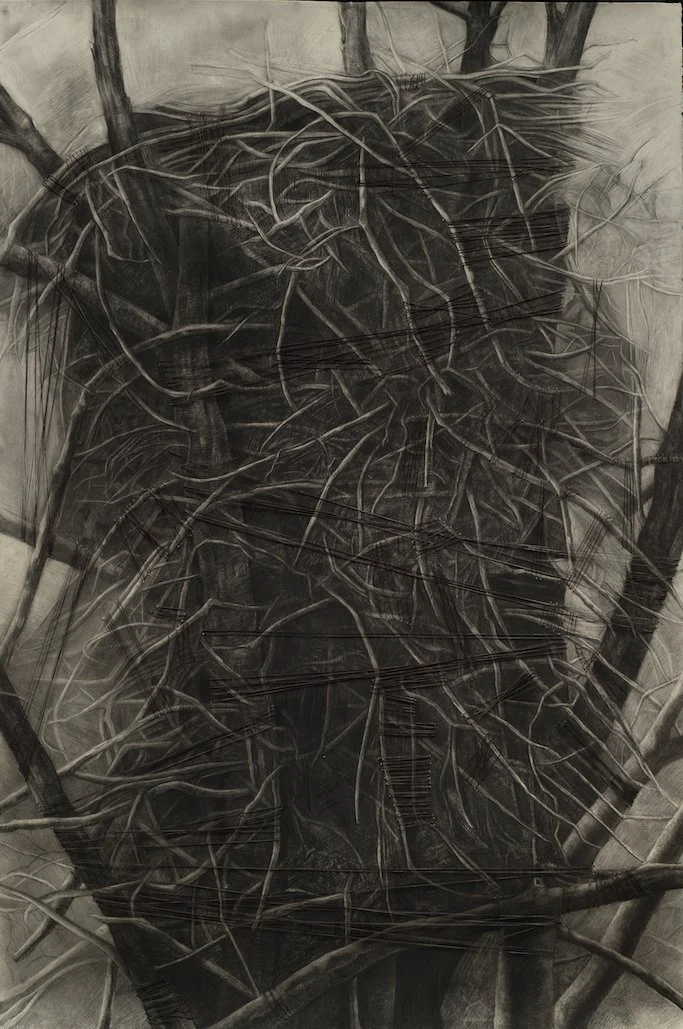 Nest Of The North ~ 72" x 52" ~ Charcoal on red cotton rag paper with thread