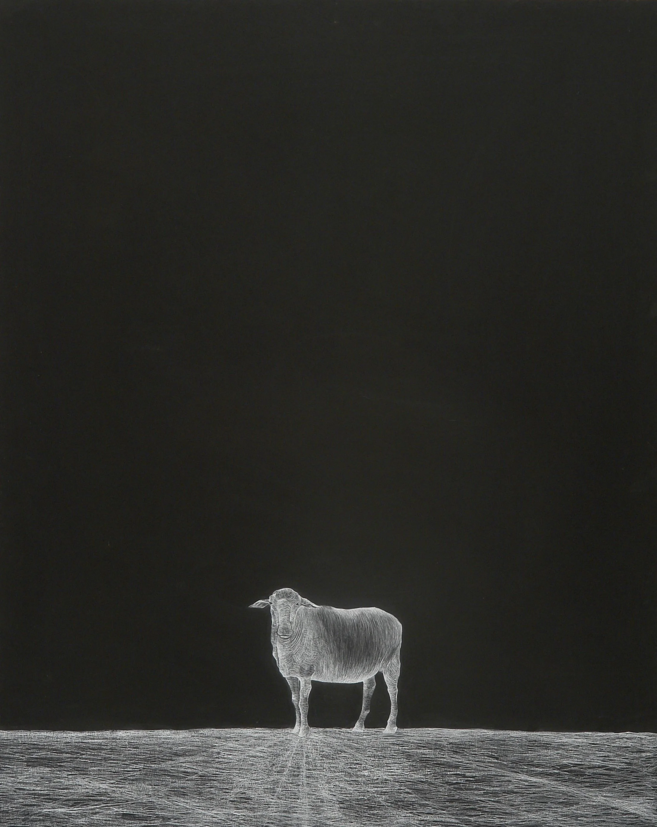 Alpha Male ~ 40" x 30" ~ Black rag board, white chalk