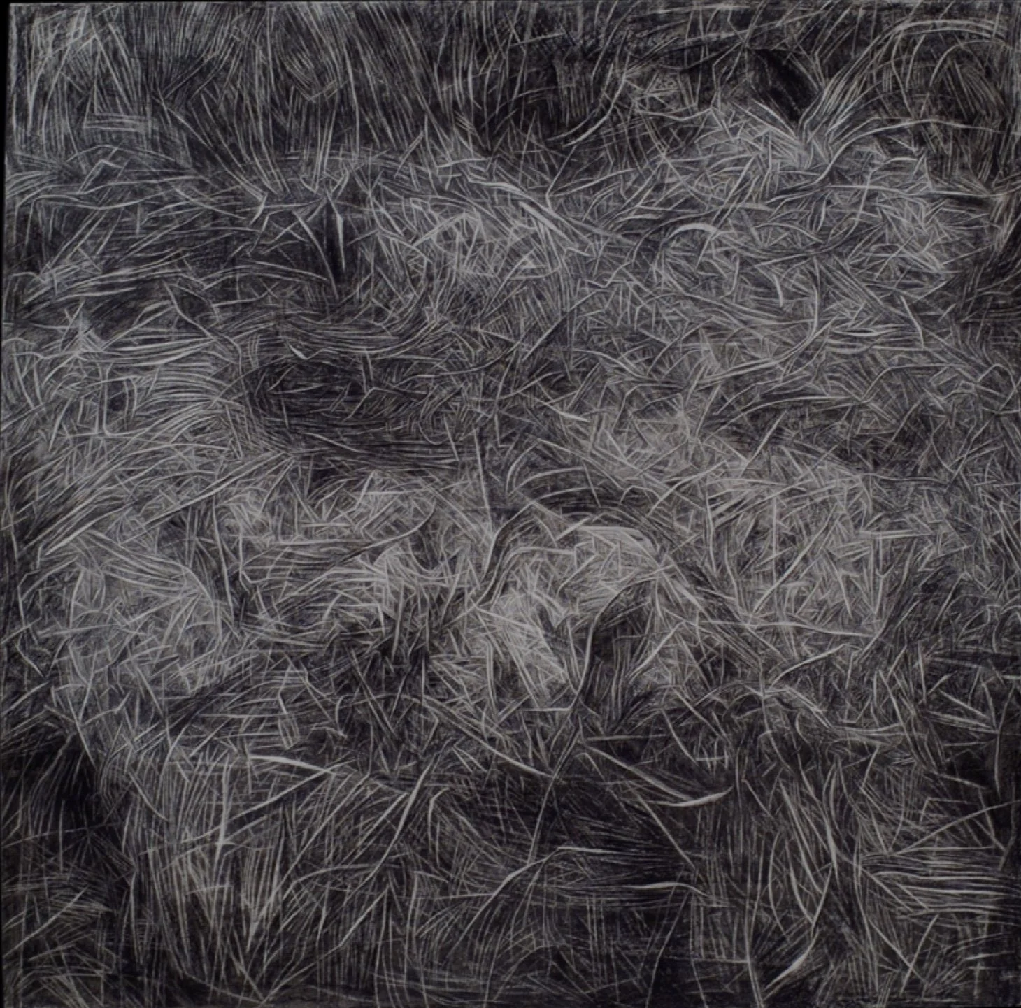 Ransom Notes No. 1 ~ 60" x 60" ~ Charcoal on cotton rag paper