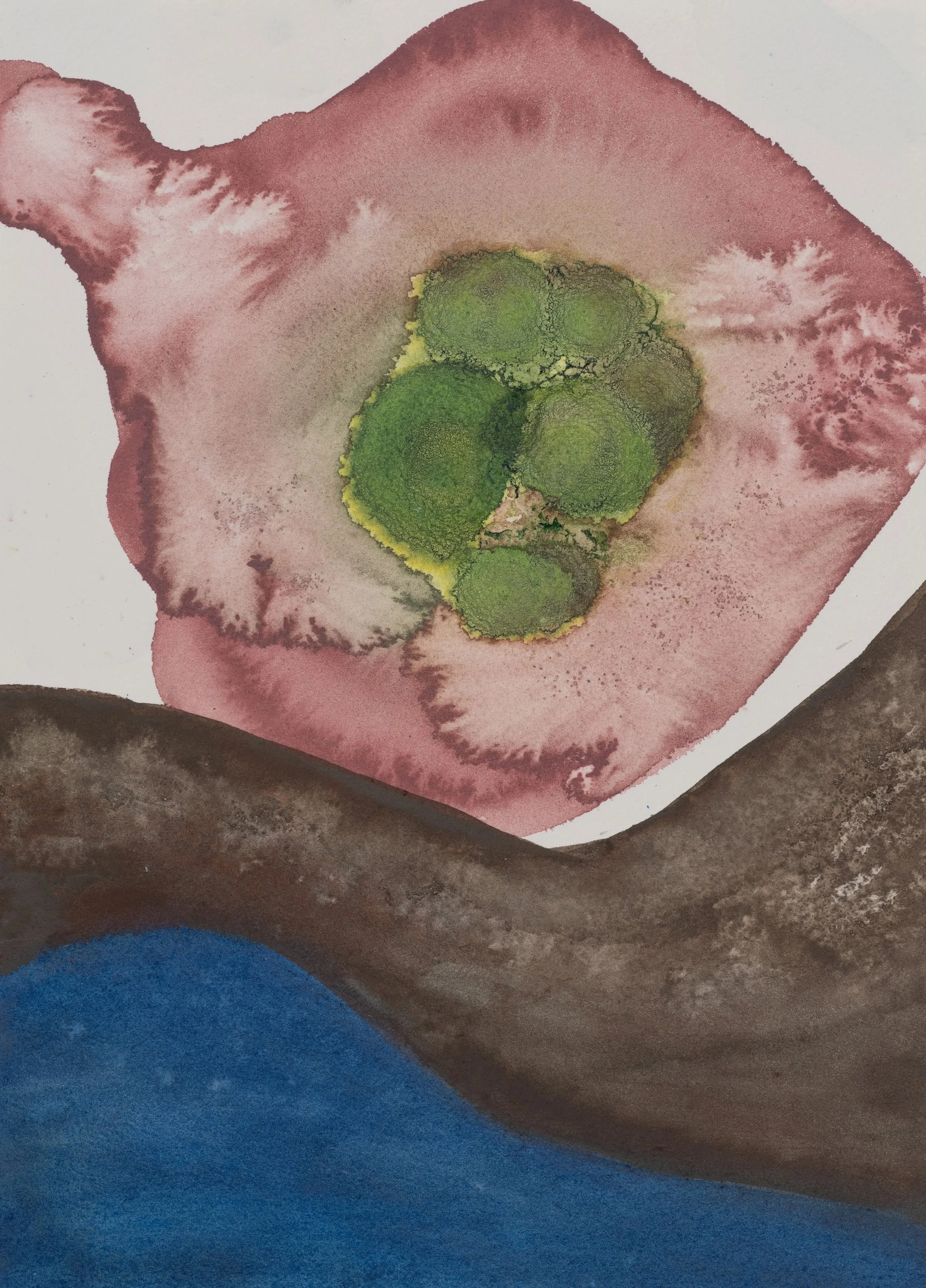 Watercolor 04 ~ 8" x 10" ~ Watercolor, cotton rag paper