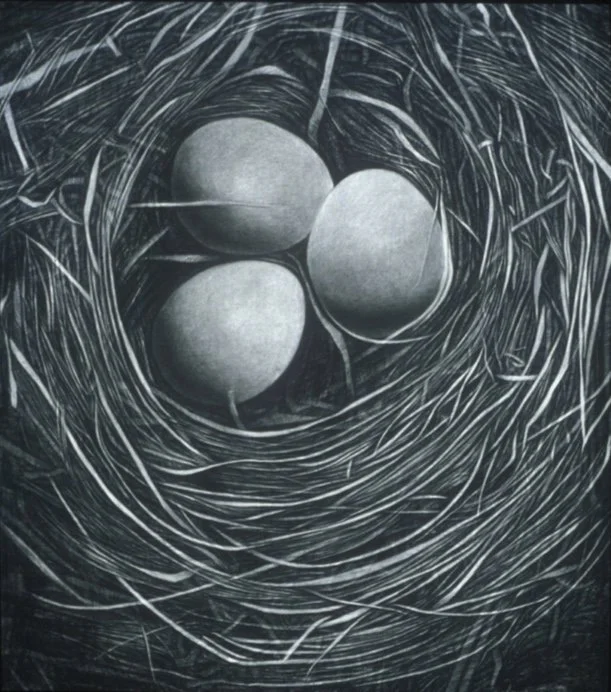 Silent Promises ~ 50' x 38" ~ Charcoal on cotton rag paper