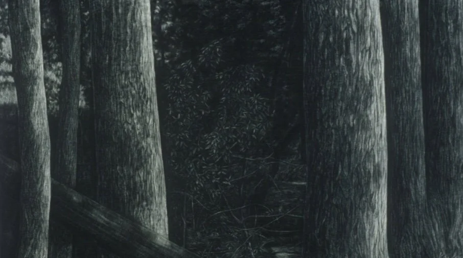 Potential Grace No. 2 ~ 72" x 42" ~ Charcoal on cotton rag paper