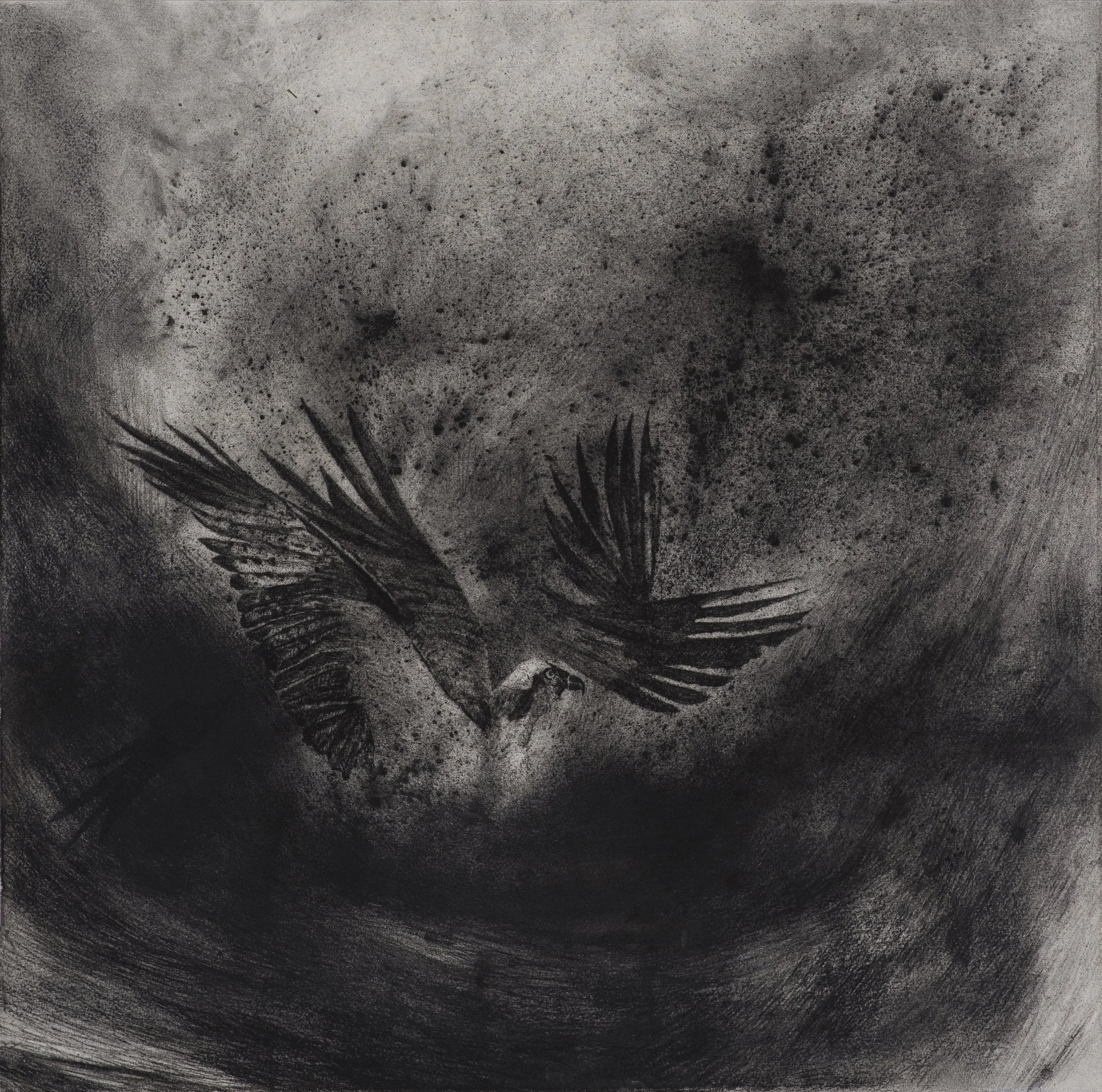Ahead Of The Storm ~ 20" x 20" ~ Charcoal on cotton rag paper