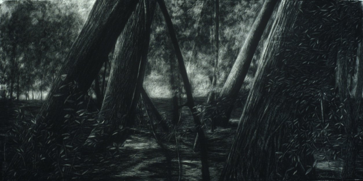 Potential Grace No. 3 ~ 42" x 76" ~ Charcoal on cotton rag paper