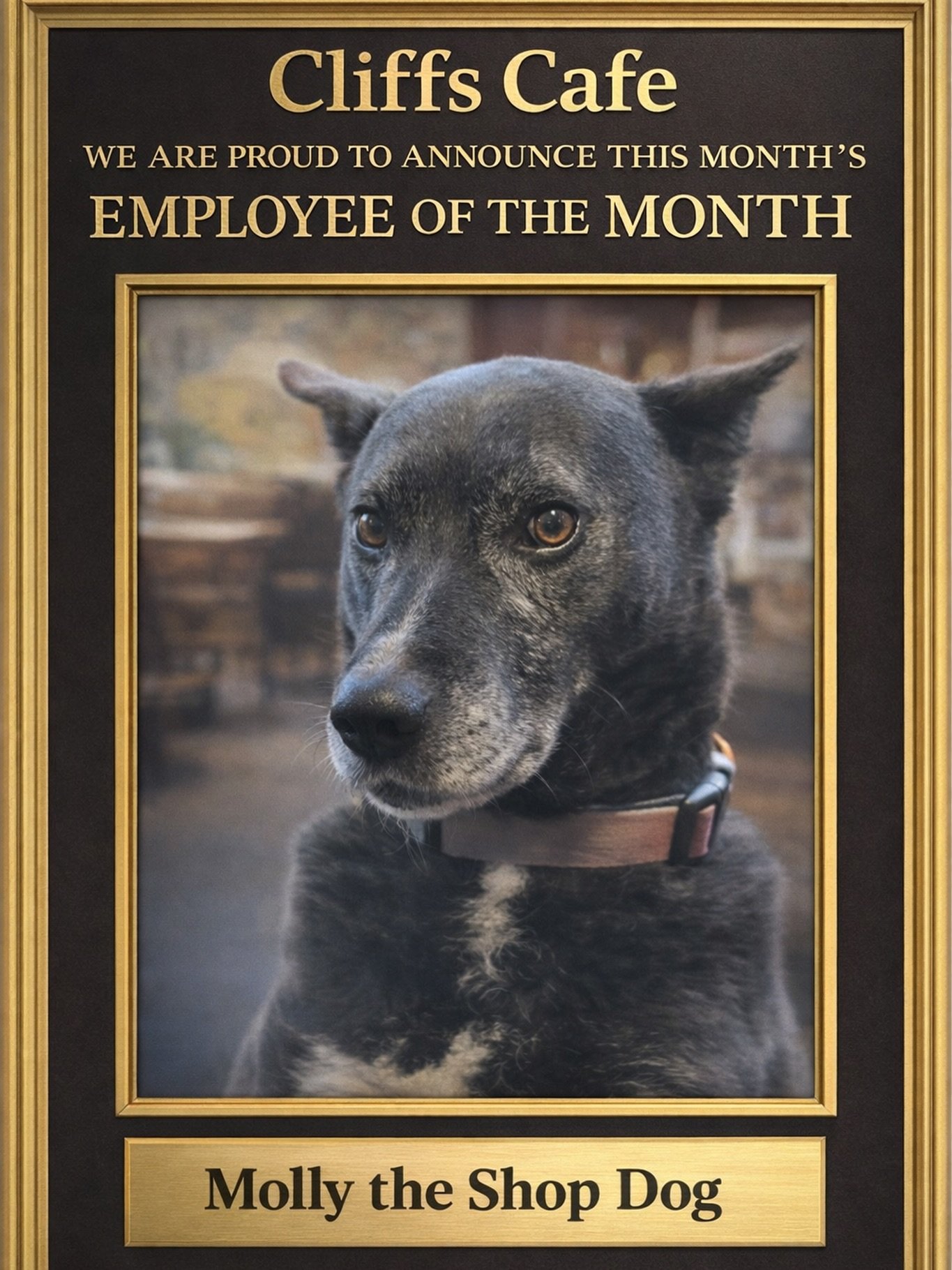 🎉 Congratulations to Molly on earning Employee of the Month at Cliff&rsquo;s Cafe 🎉

Molly has consistently gone above and beyond, bringing positive energy, unmatched loyalty, and a calming presence to the shop every single day. Customers love her,