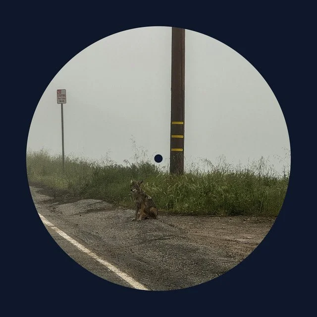 Dominic Fike - Engineer/Performer