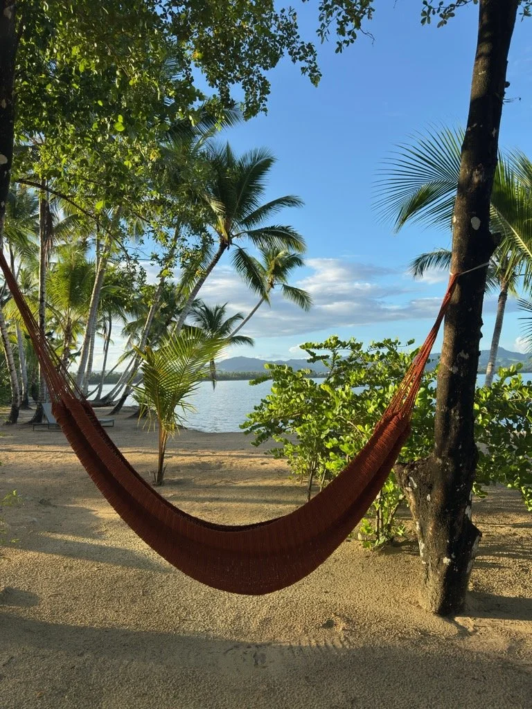 A hammock suspended between trees on a beach with palm trees, water, and mountains in the background during daytime.