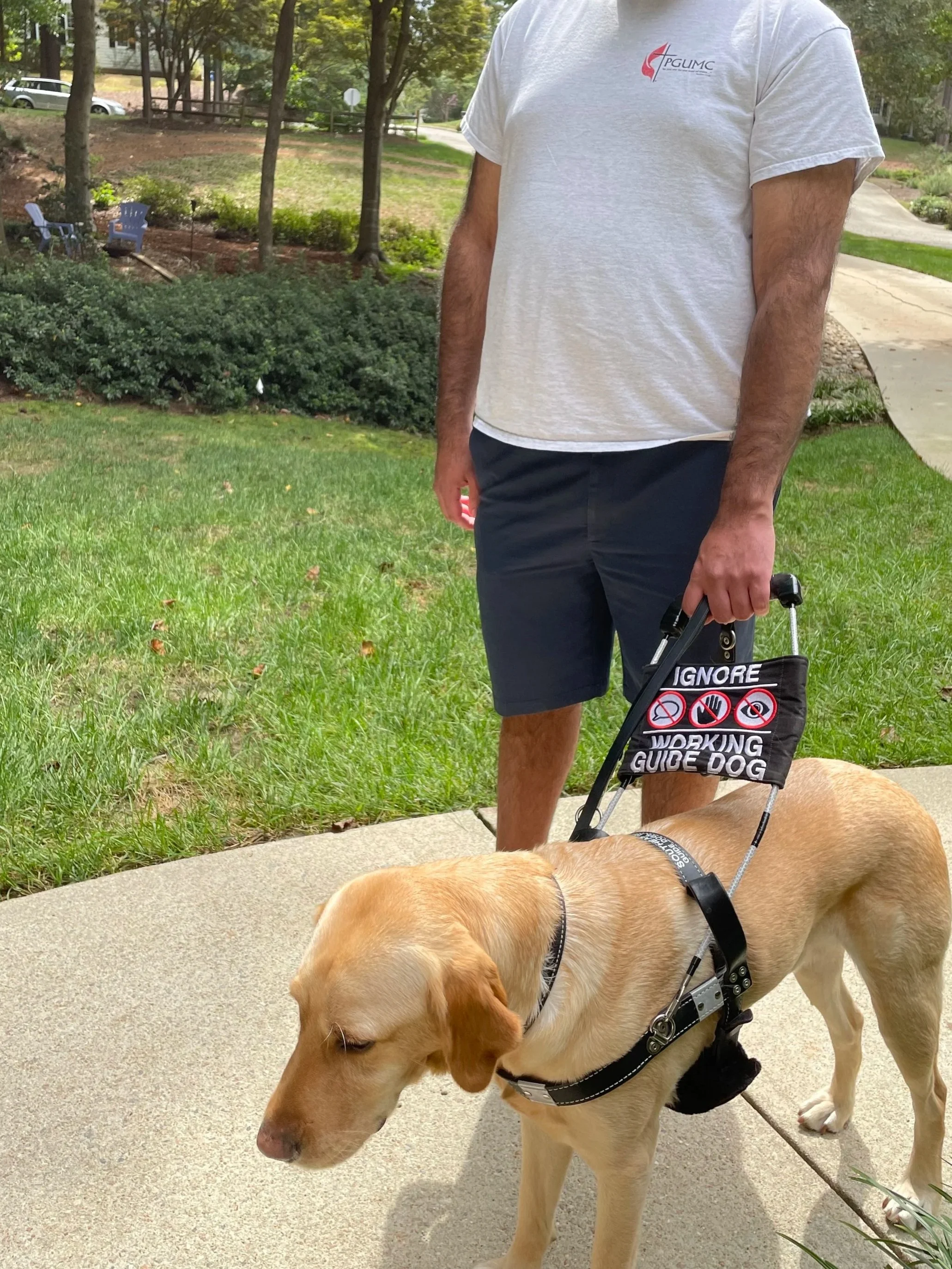 Note the neutral wrist position of the owner with the new harness