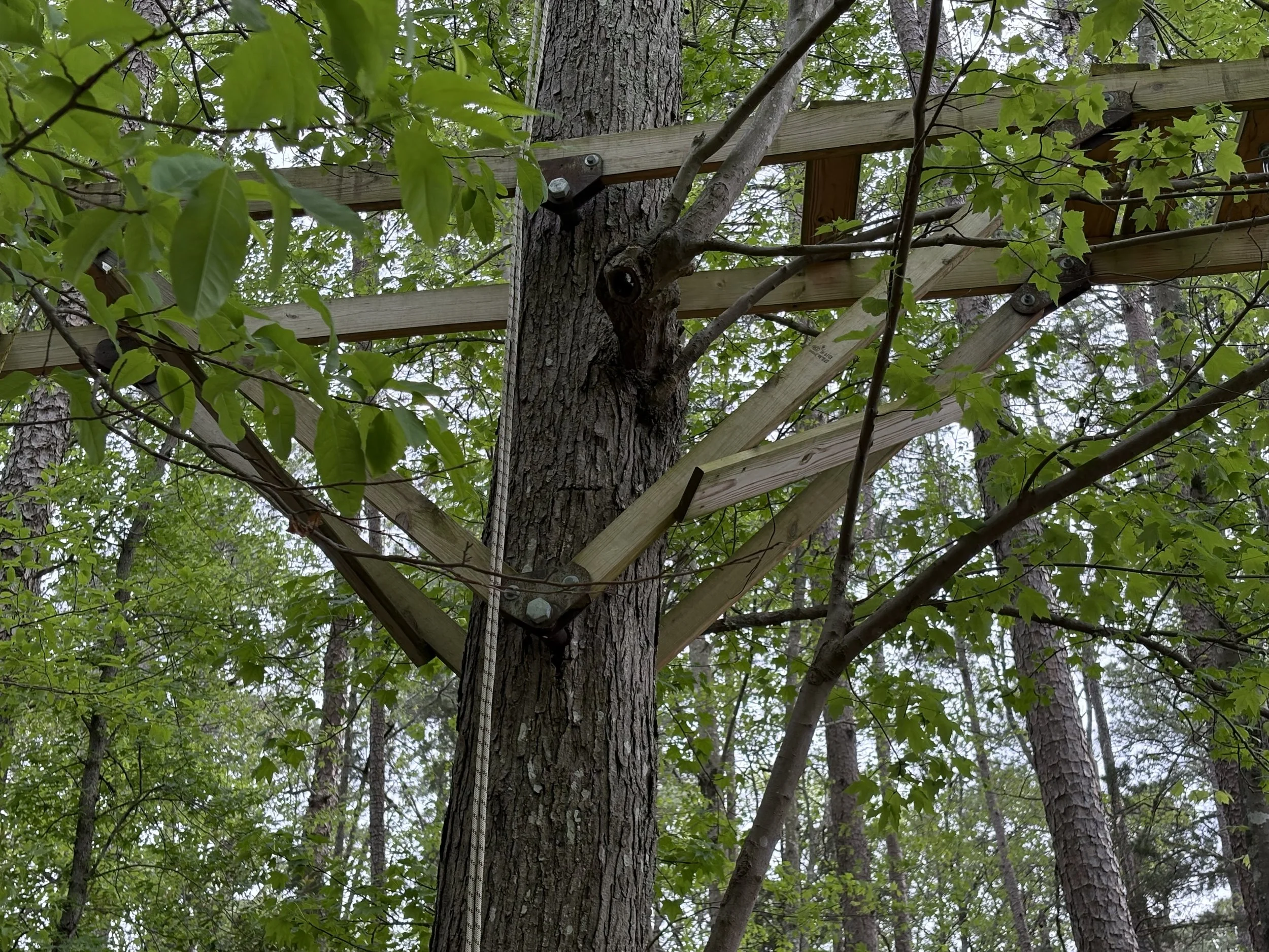 Swing and climbing structure anchored using floating tree bolts and with custom designed and fabricated joints.