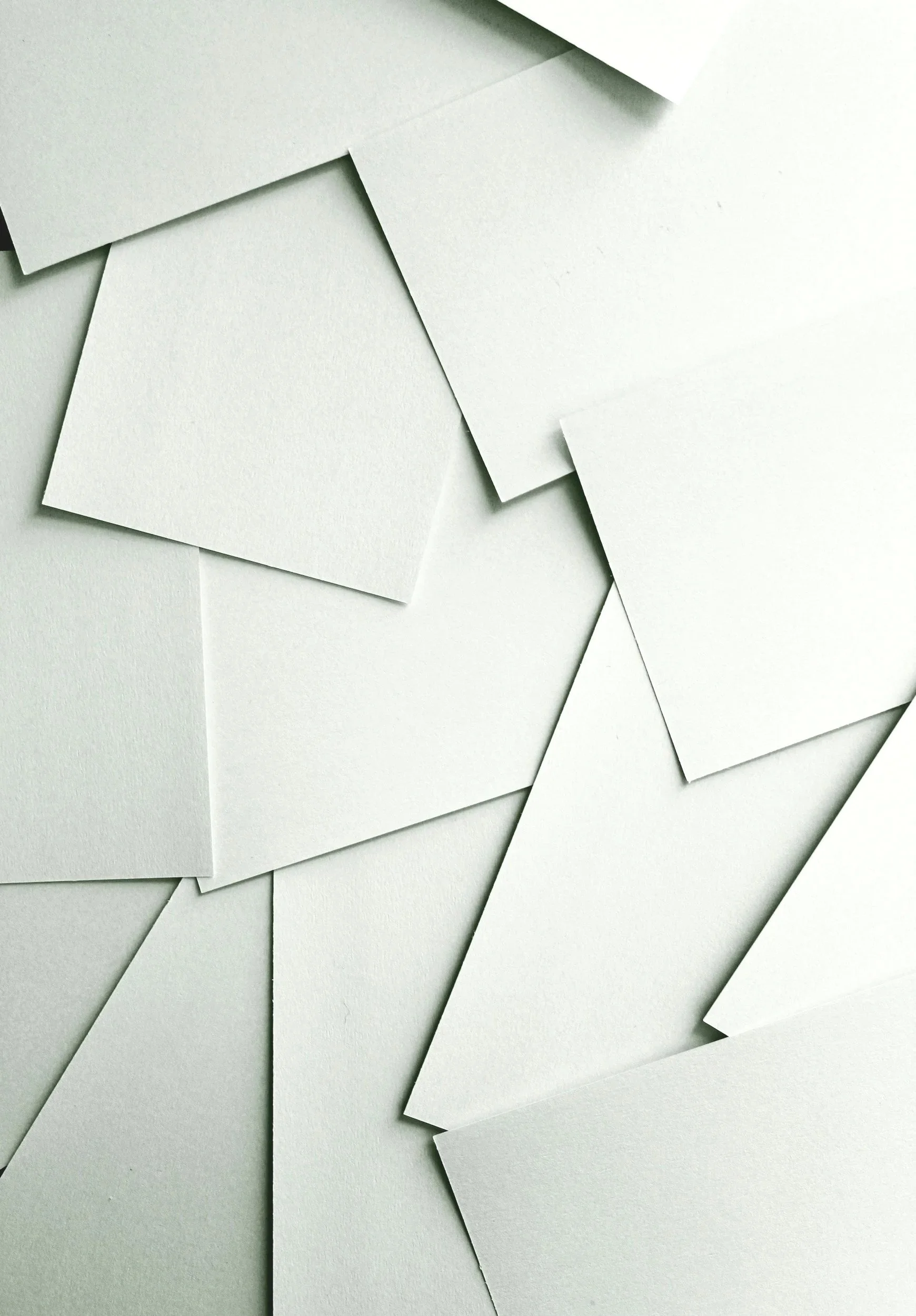 PARTNER ORGANISATIONS