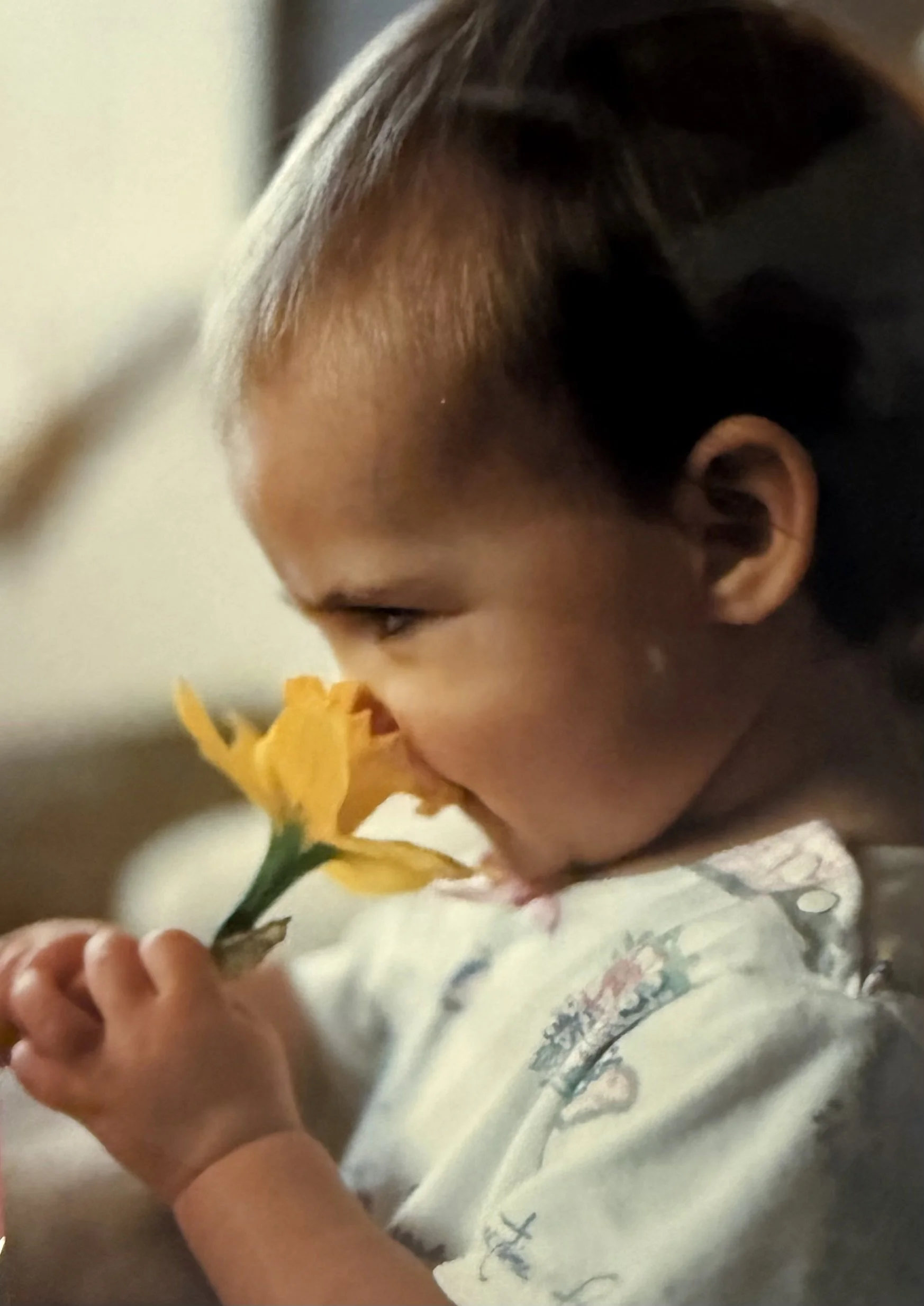 A young child with dark hair appears to be smelling or tasting a yellow flower held by an adult hand.