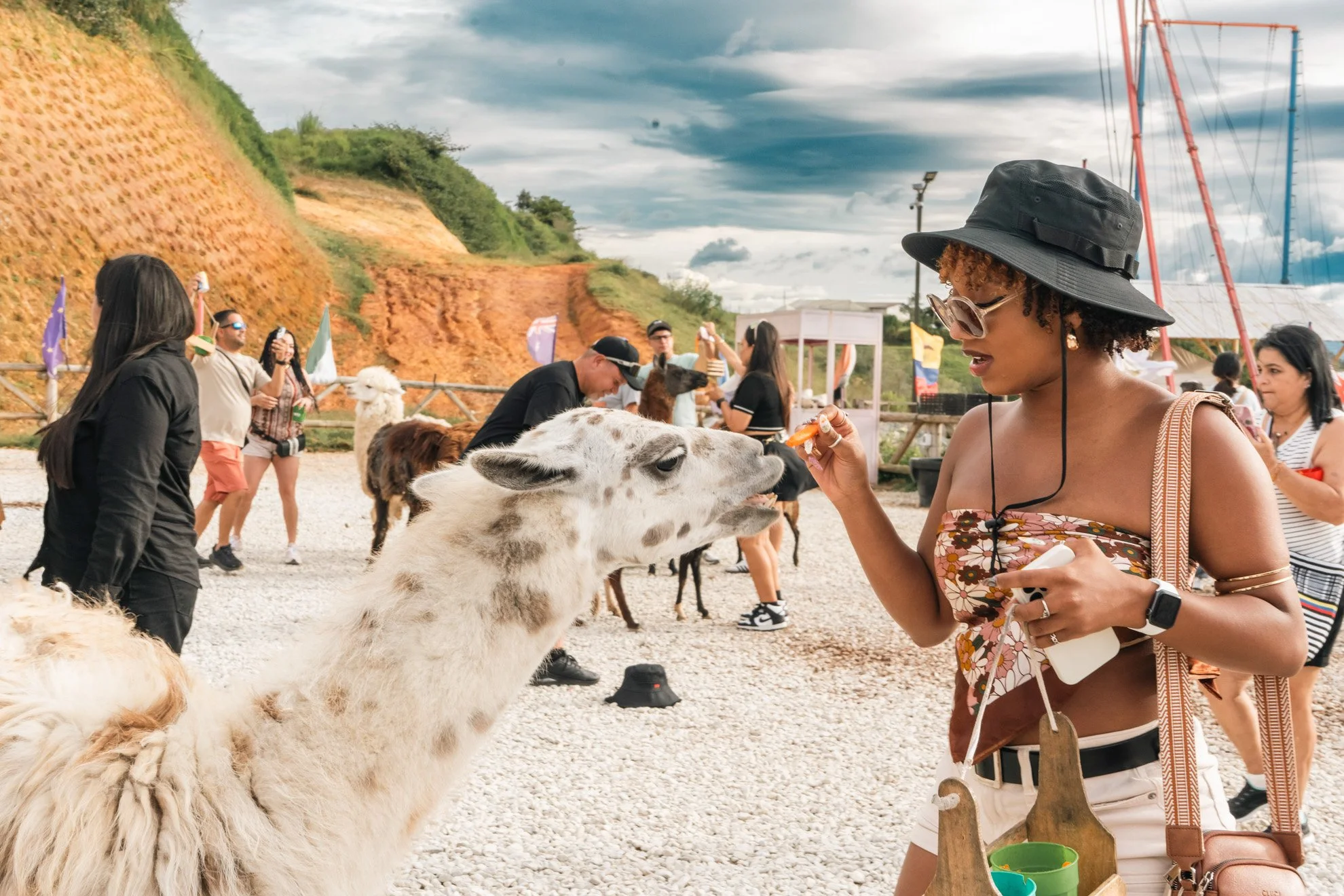 A woman with curly hair, wearing sunglasses, a black hat, and a floral strapless top, feeds a llama at a petting zoo with other people and llamas in the background, and colorful flags and a roller coaster in the distance.