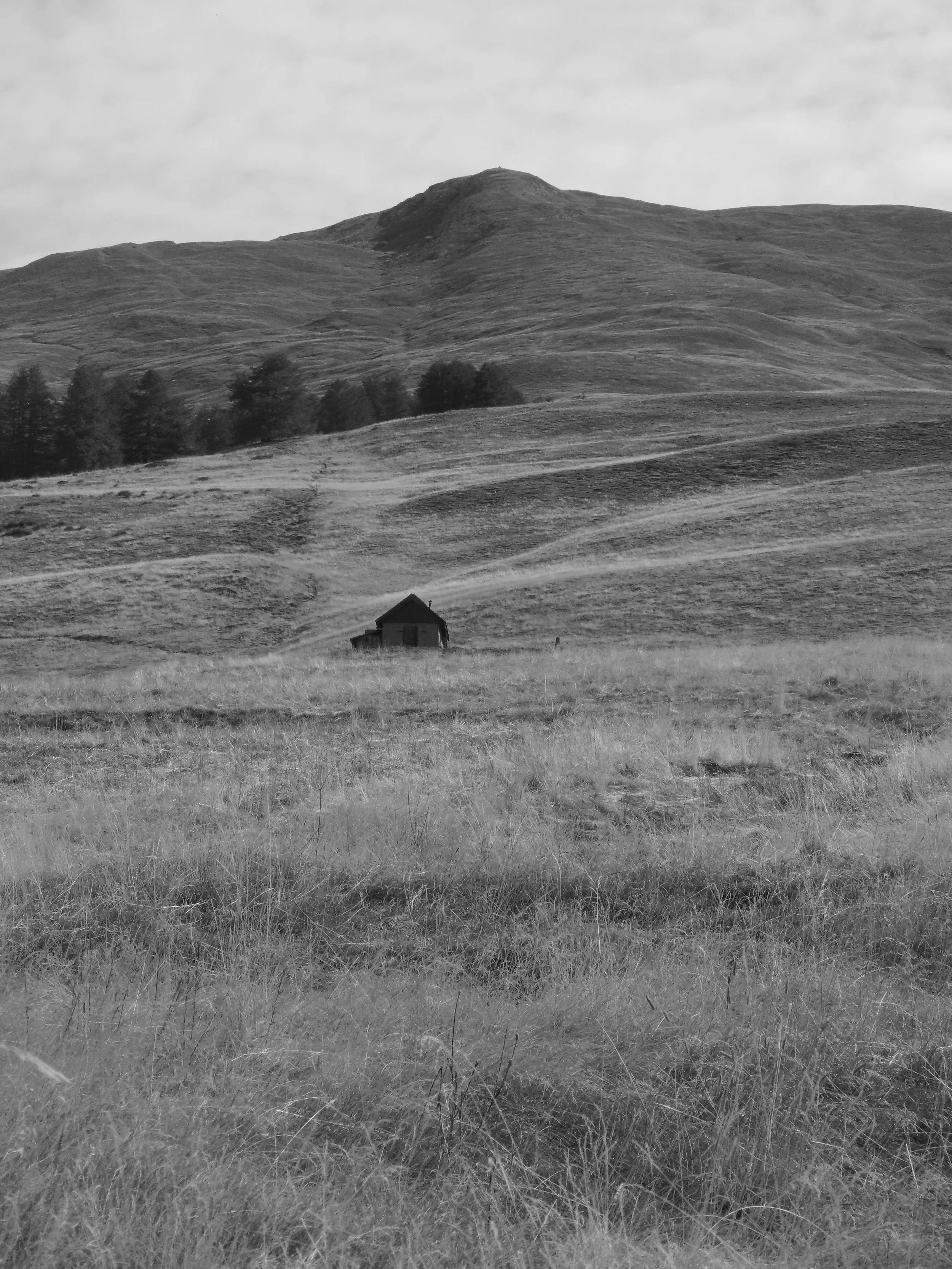 La cabane de la Gardiole 12.jpg