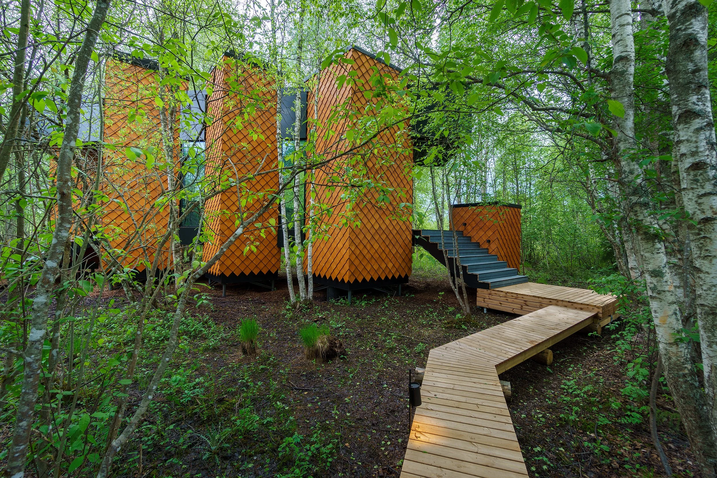 Maidla Nature Resort, architect-designed nature villas. Zynopsis Visuals.