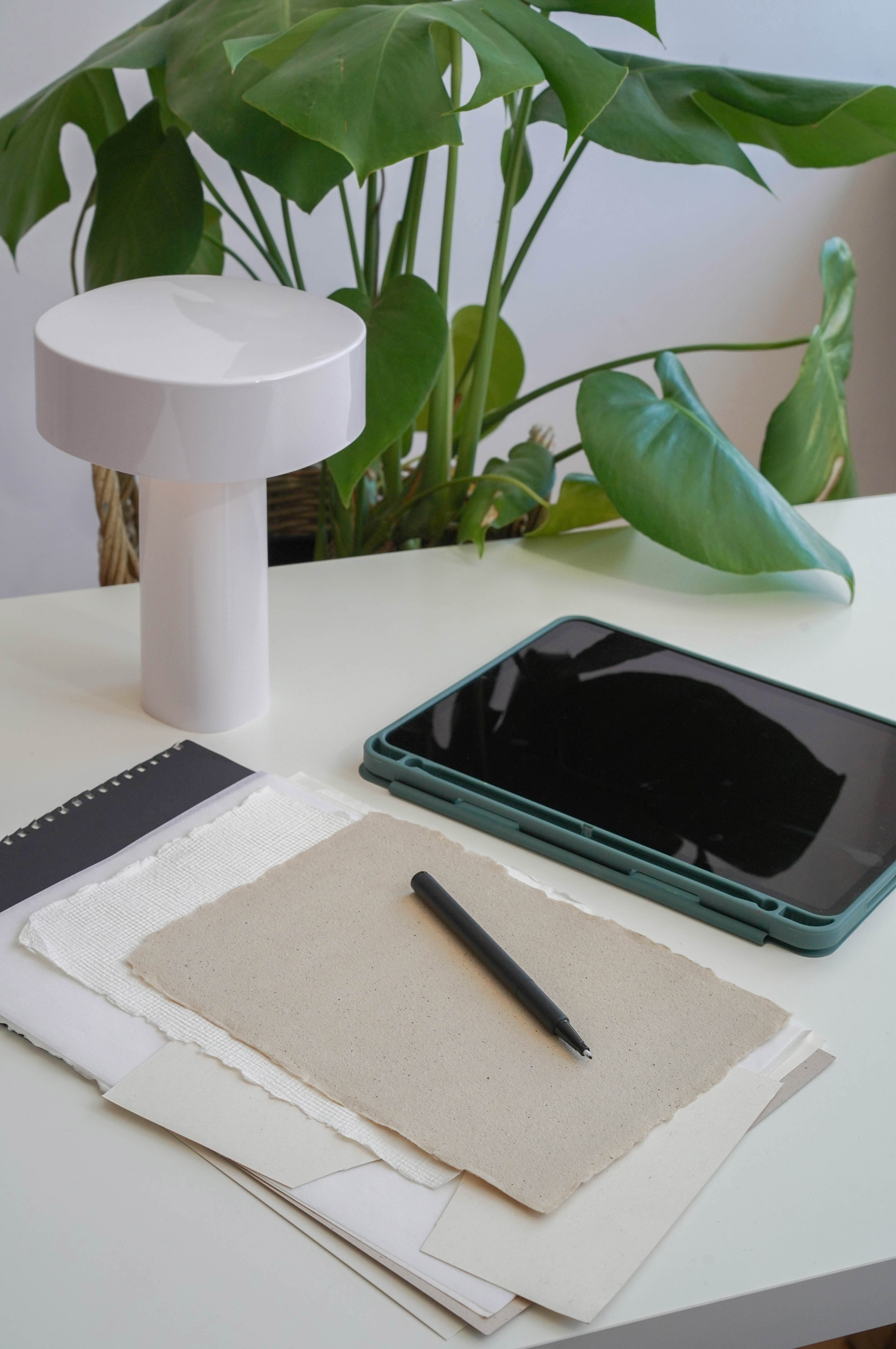 Our process for becoming a new client. A workspace with a tablet, black pen, papers, and a white lamp on a white desk, with a large green leafy plant in the background.